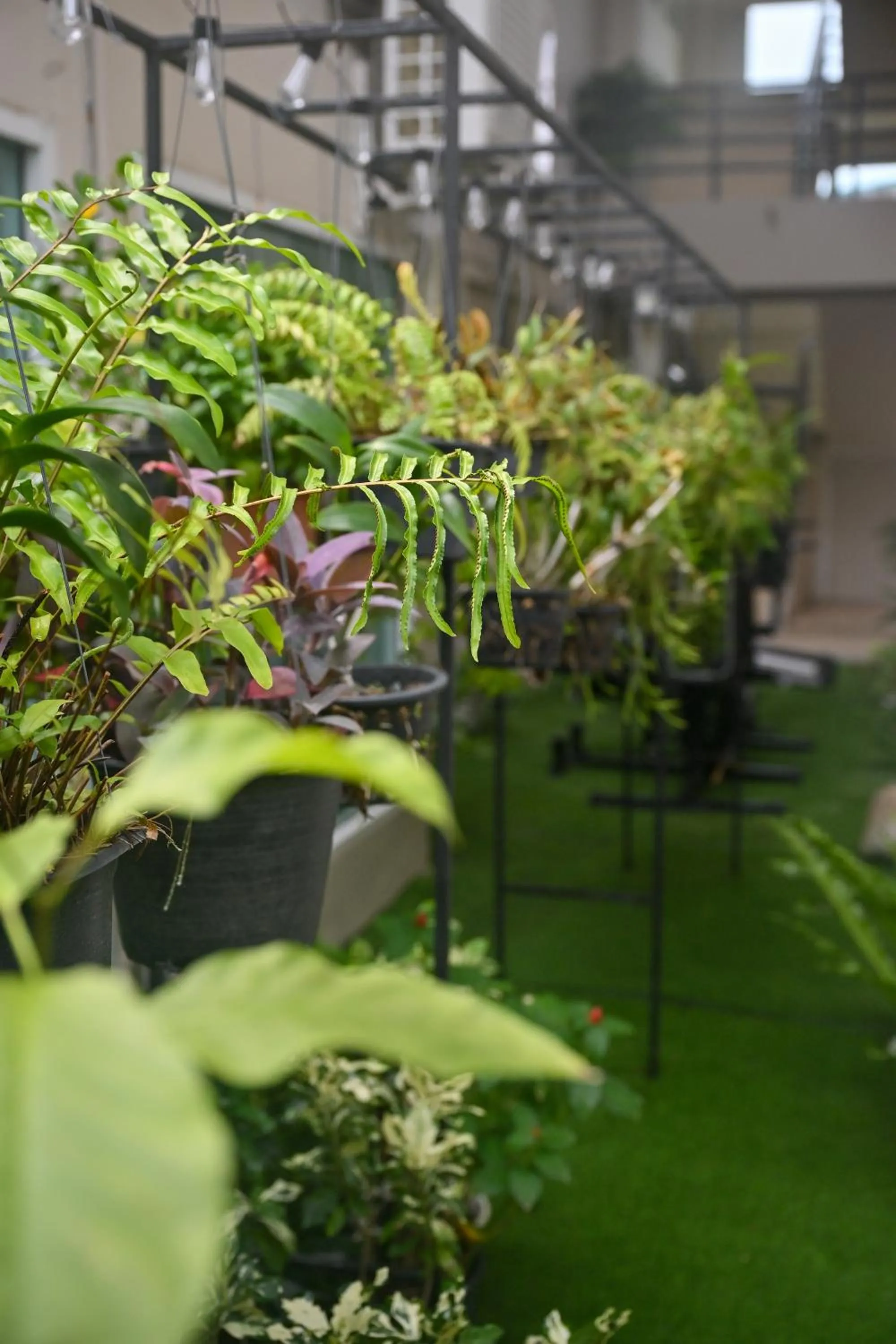 Garden in Sivana Place Phuket