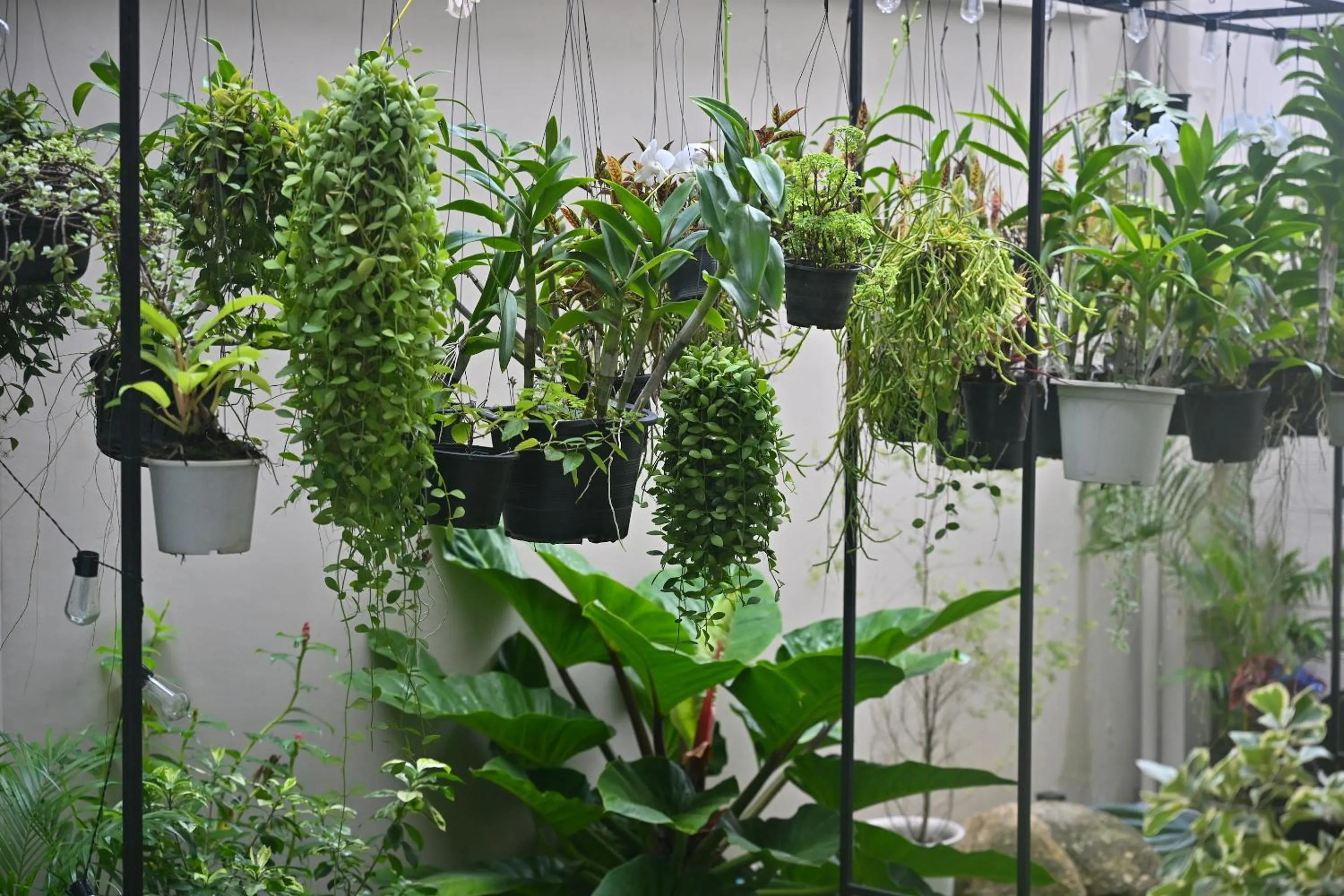 Garden in Sivana Place Phuket