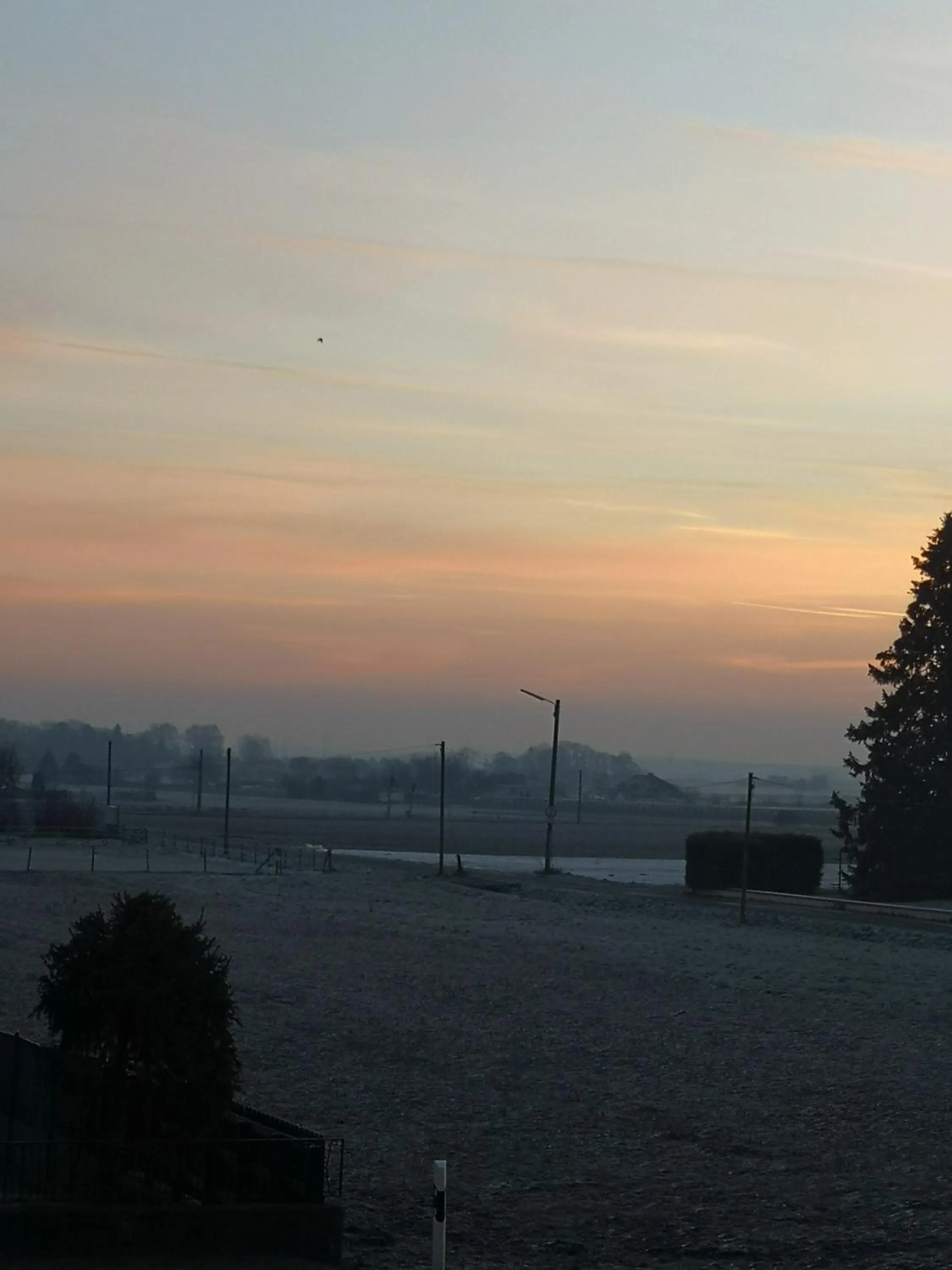 Natural landscape in Hotel Köln-Bonn
