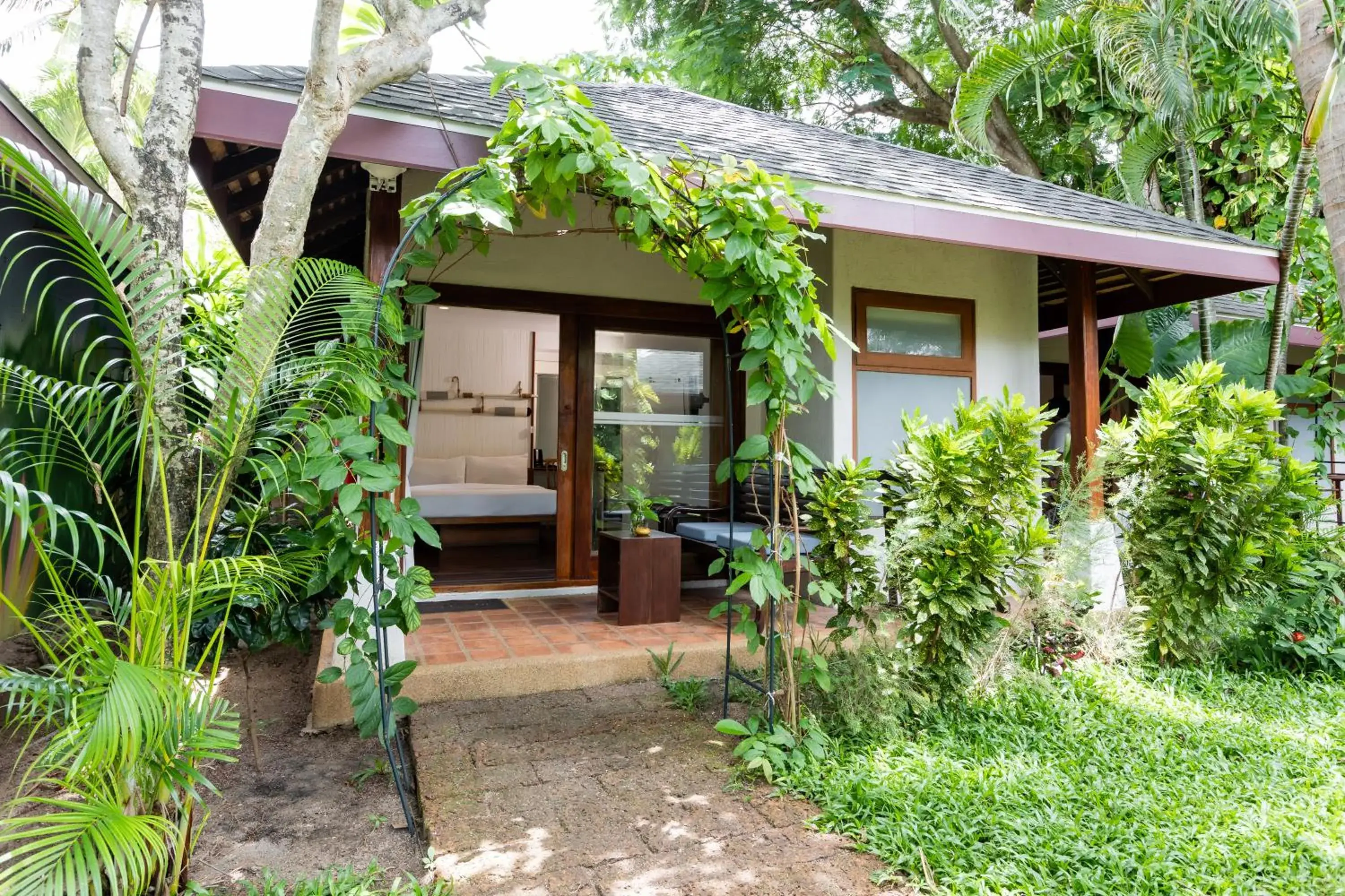 Garden view in Malibu Beach Resort Garden view in Malibu Beach Resort