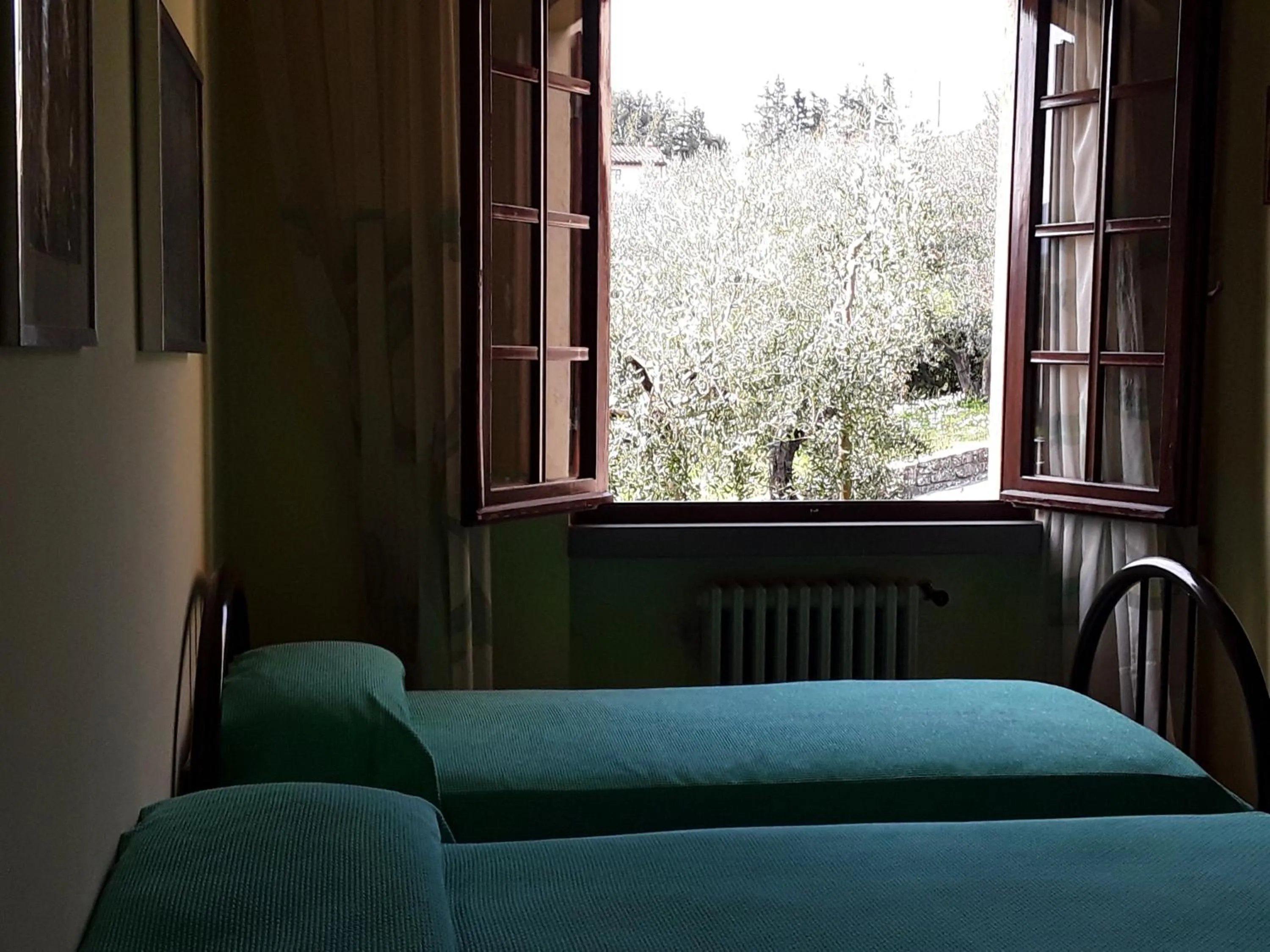 La collina degli olivi