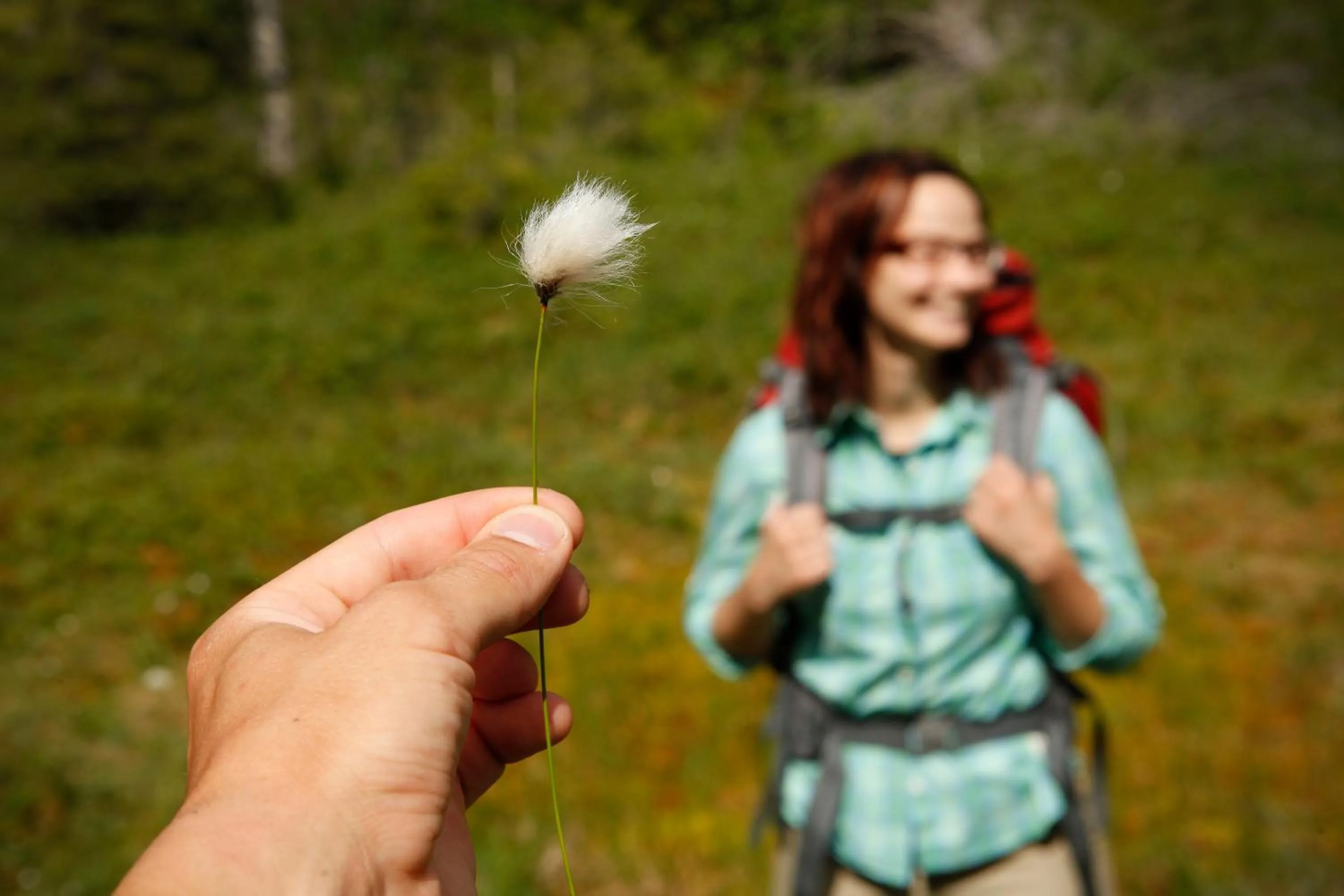 Isokenkäisten Klubi - Wilderness Lodge