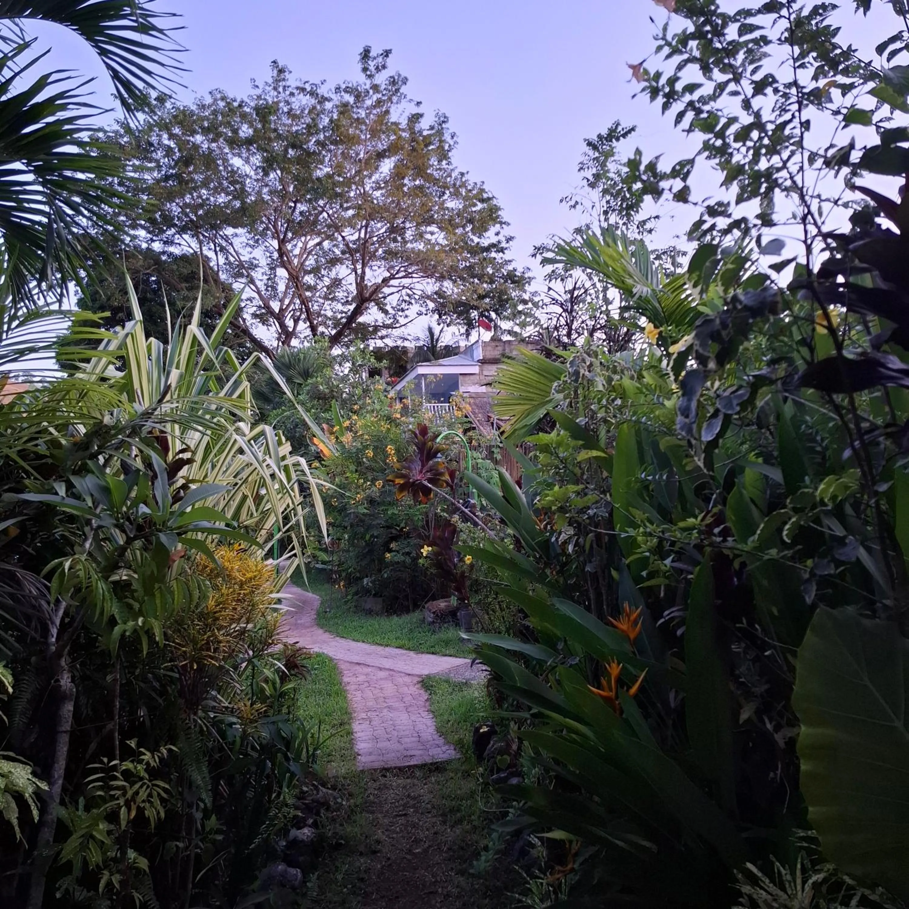 Patio in Kokosnuss Garden Resort