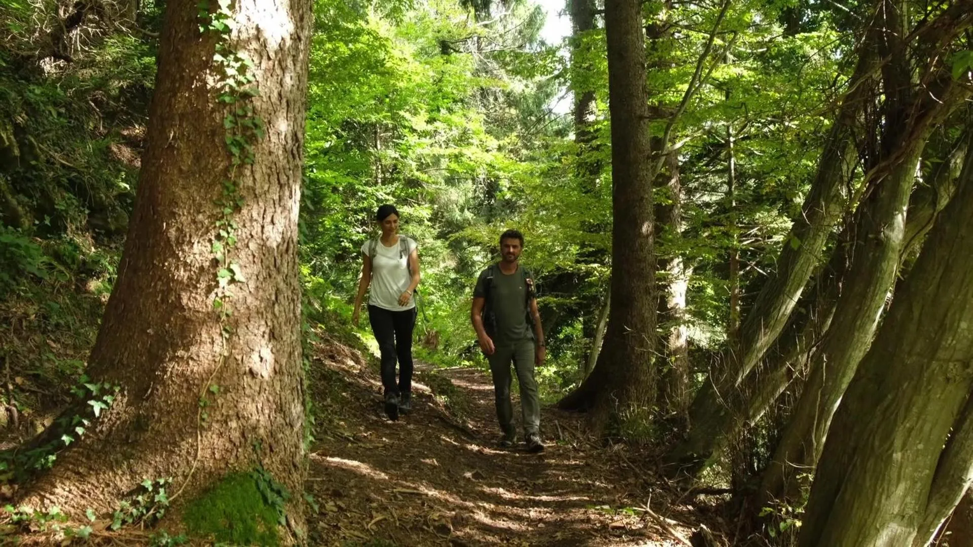 Hiking in Grand Hotel Gortani