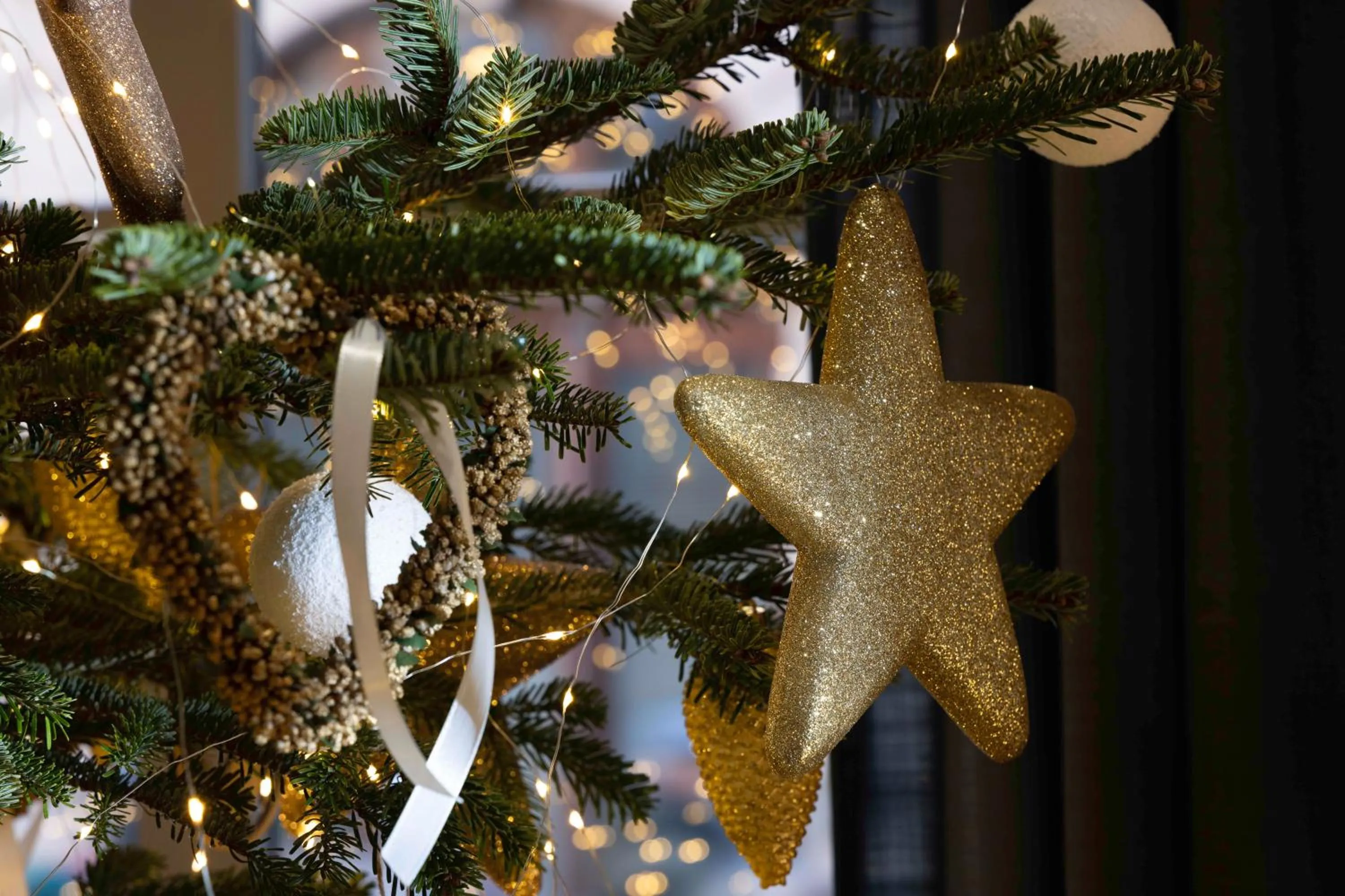 Winter in Hotel Le Colombier Suites