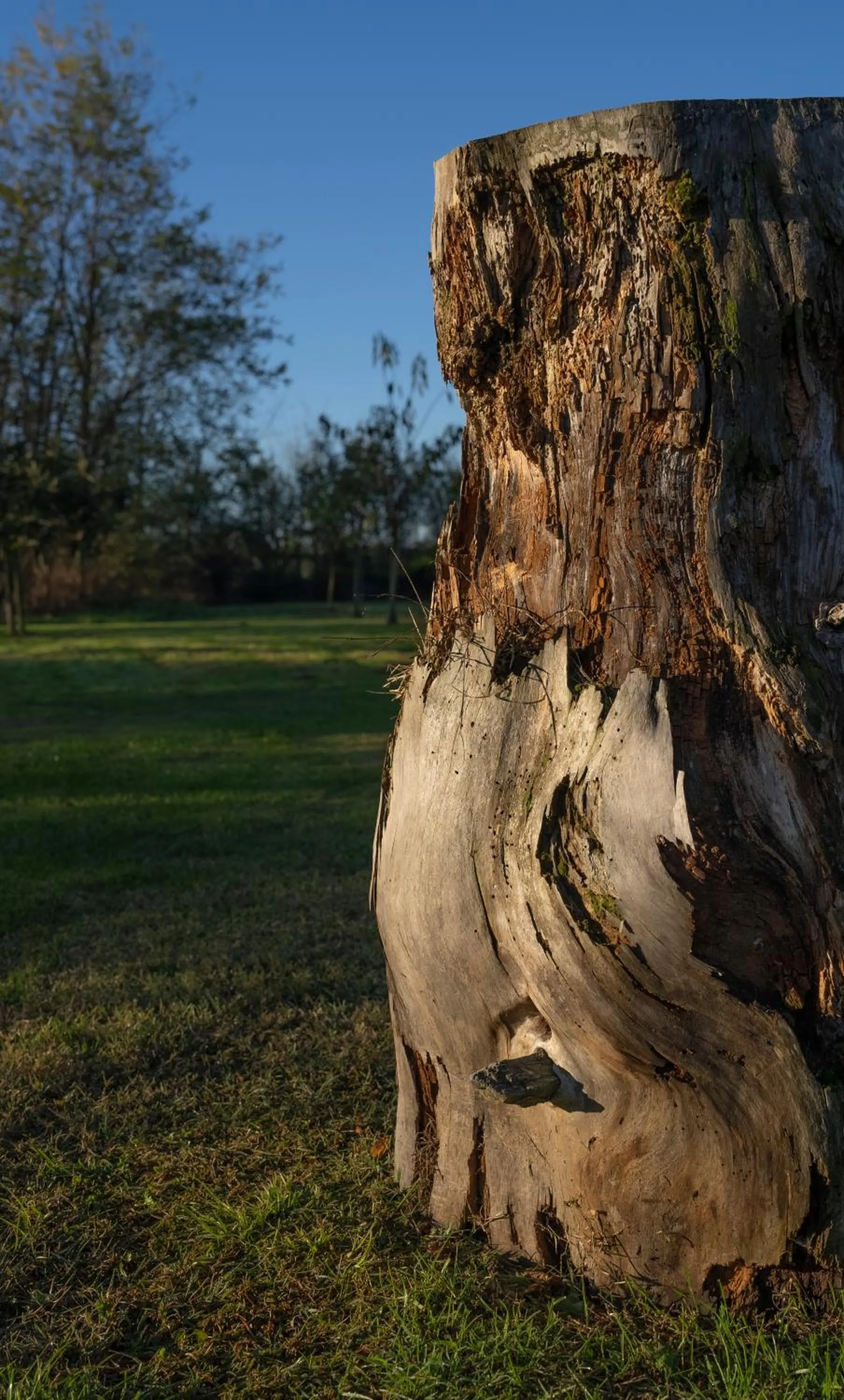 Garden in La Garoffe