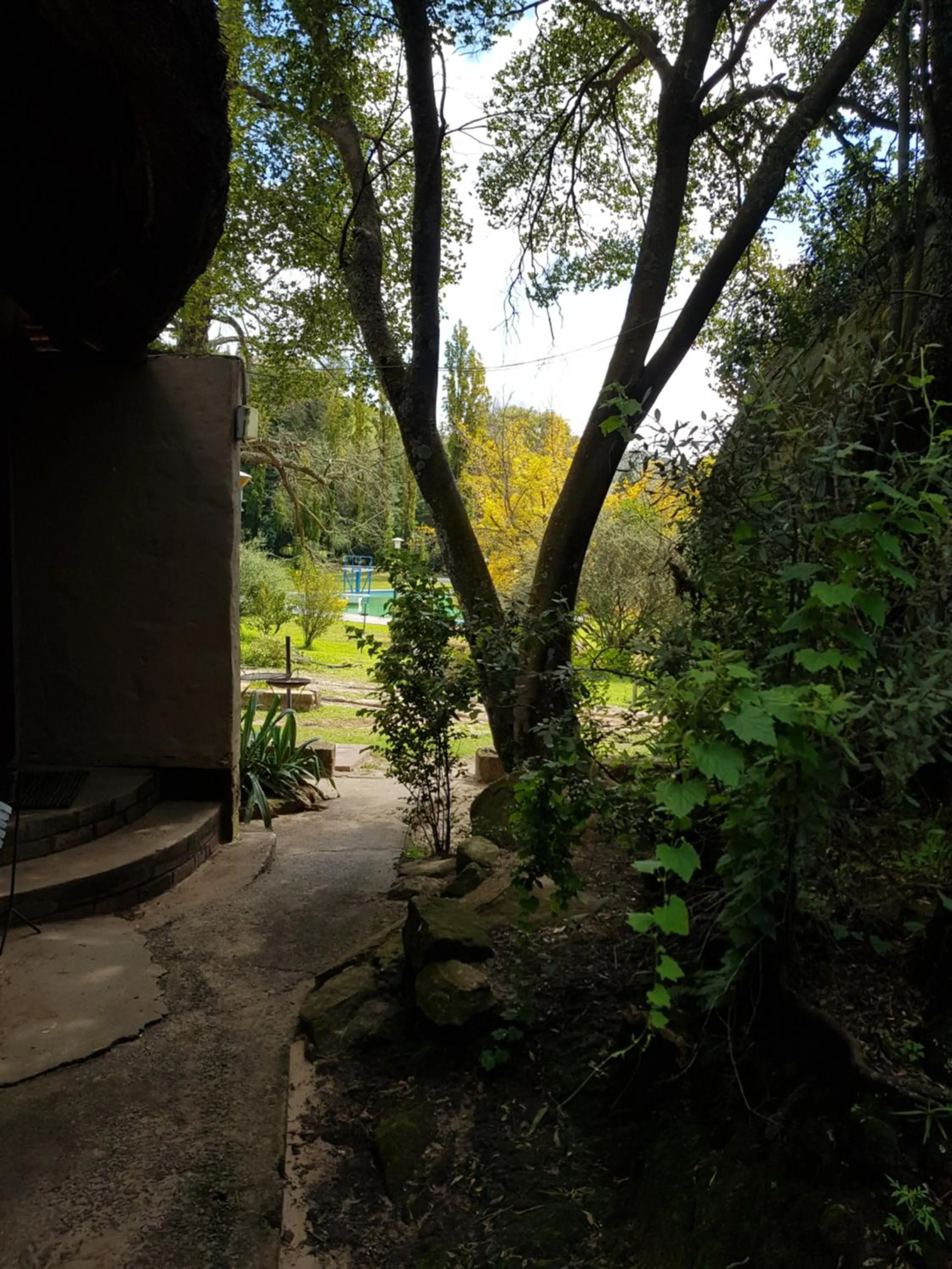 Garden view in Little Rock Resort