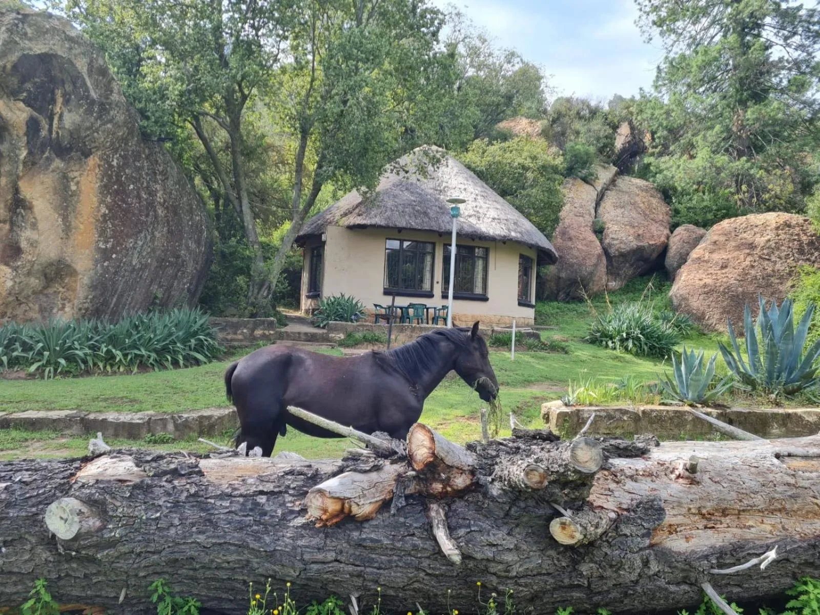 Day in Little Rock Resort