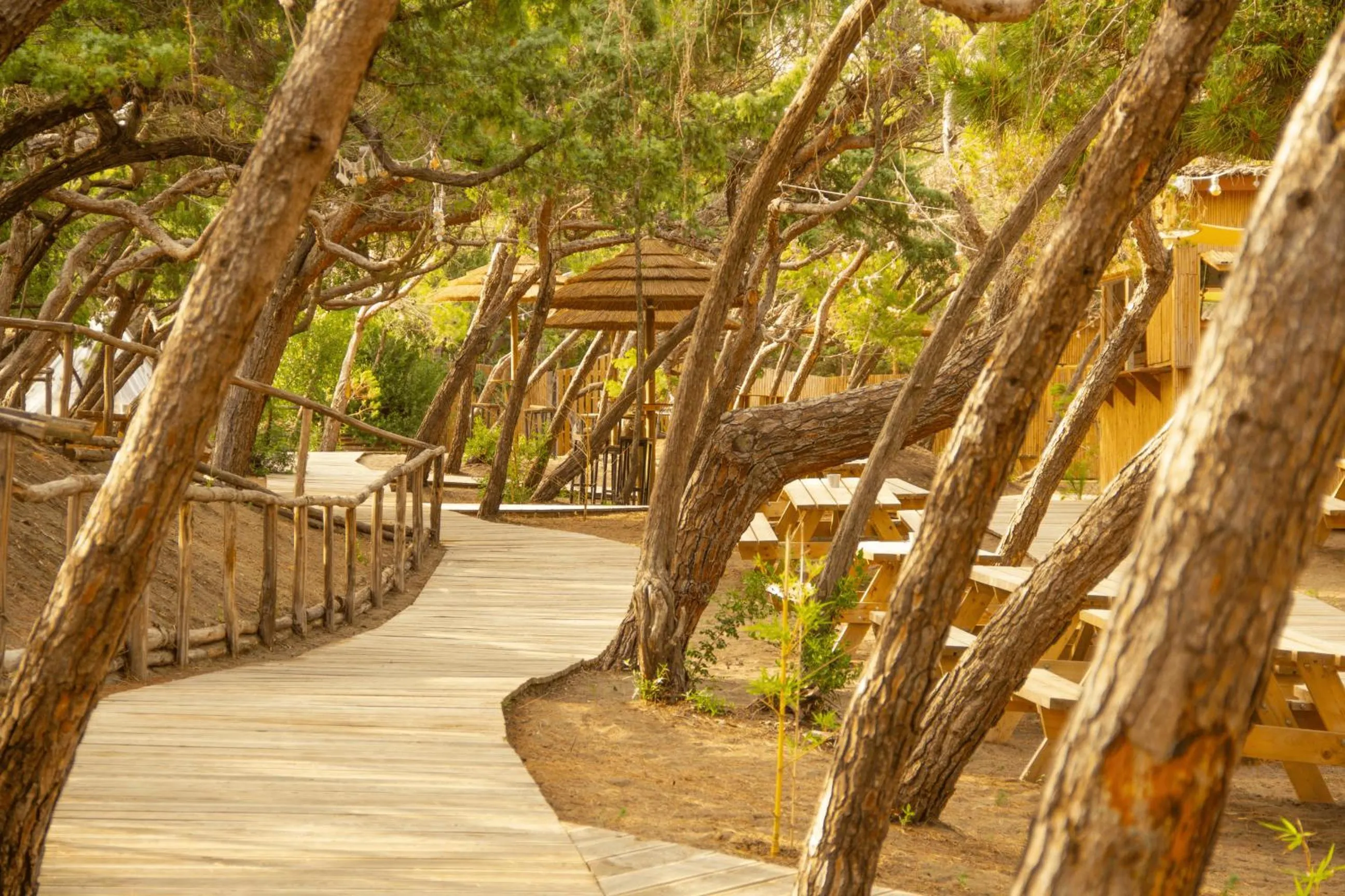Natural landscape in CSA Hotel Beach & Park