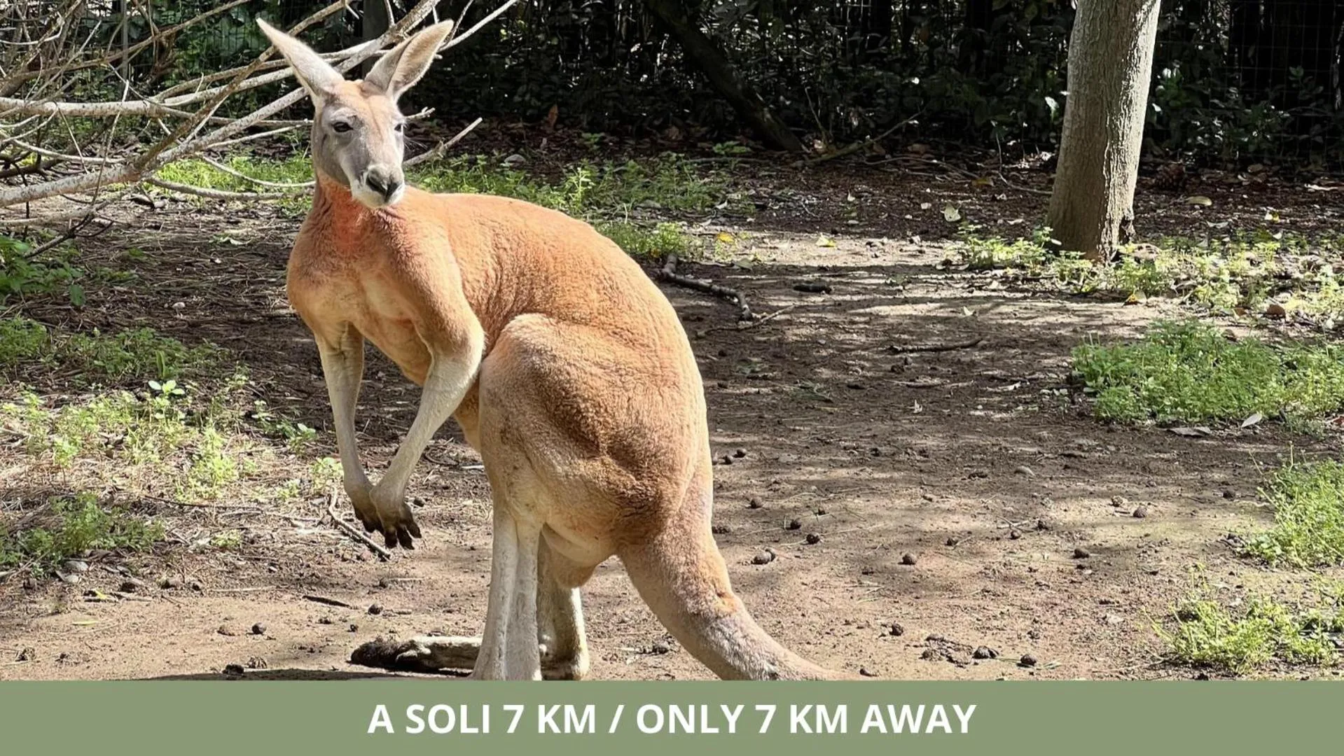 Entertainment in CSA Hotel Beach & Park