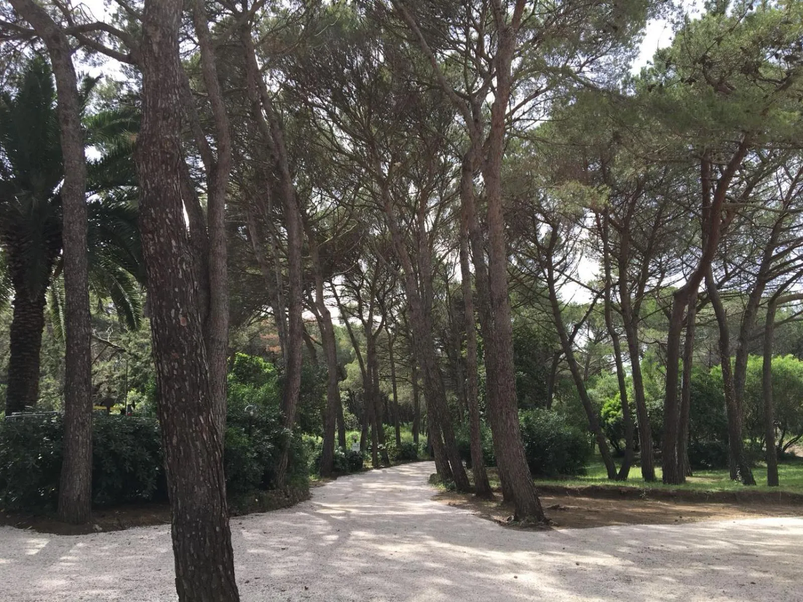 Natural landscape in CSA Hotel Beach & Park