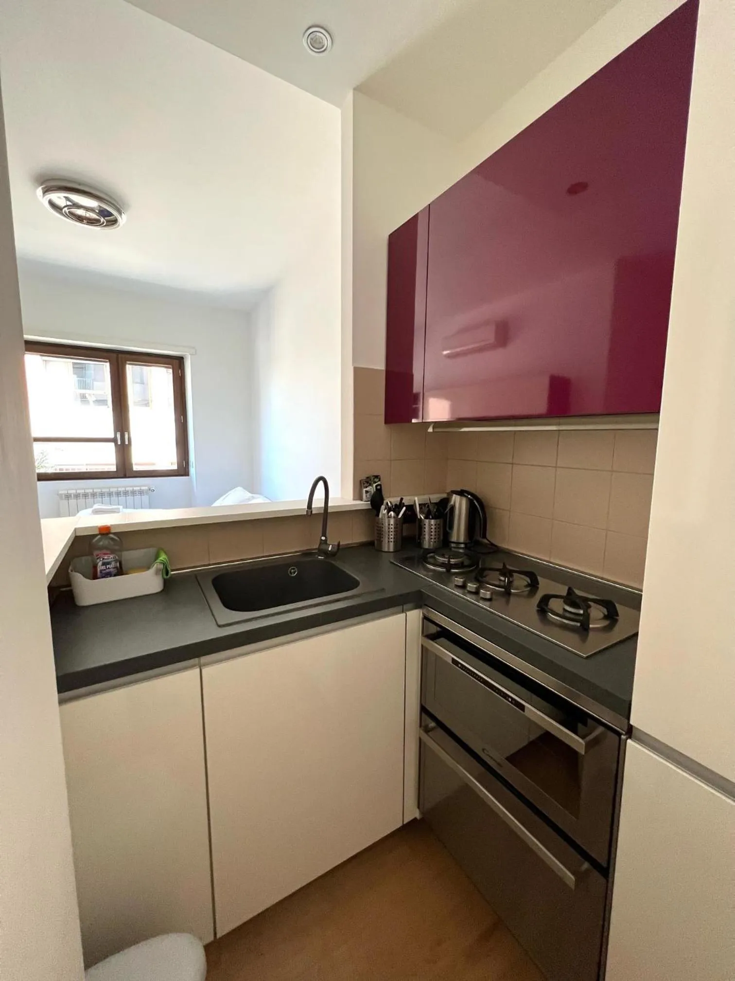 Kitchen or kitchenette in Luciano Laterani Guest House