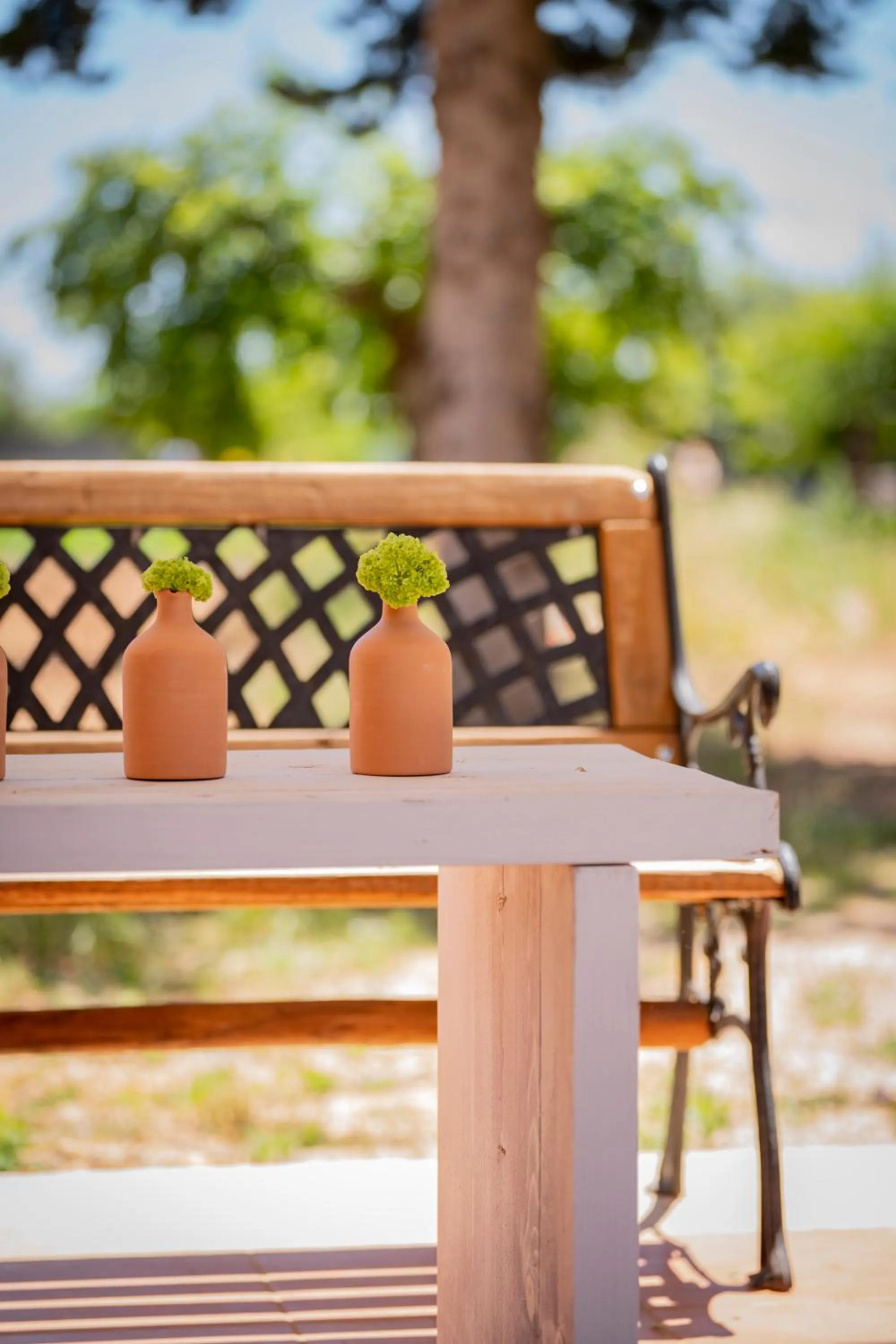 Masseria Montepaolo Dimora di Charme