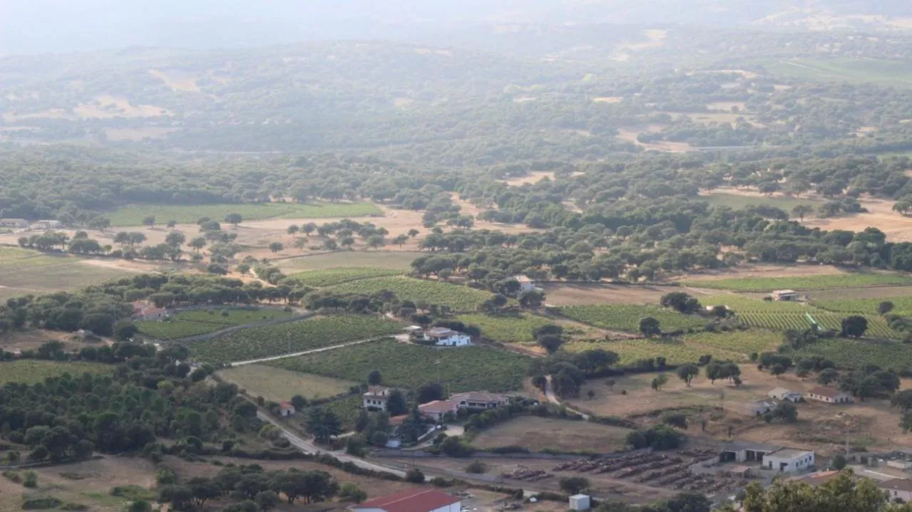 B&B L'amaca della felicità