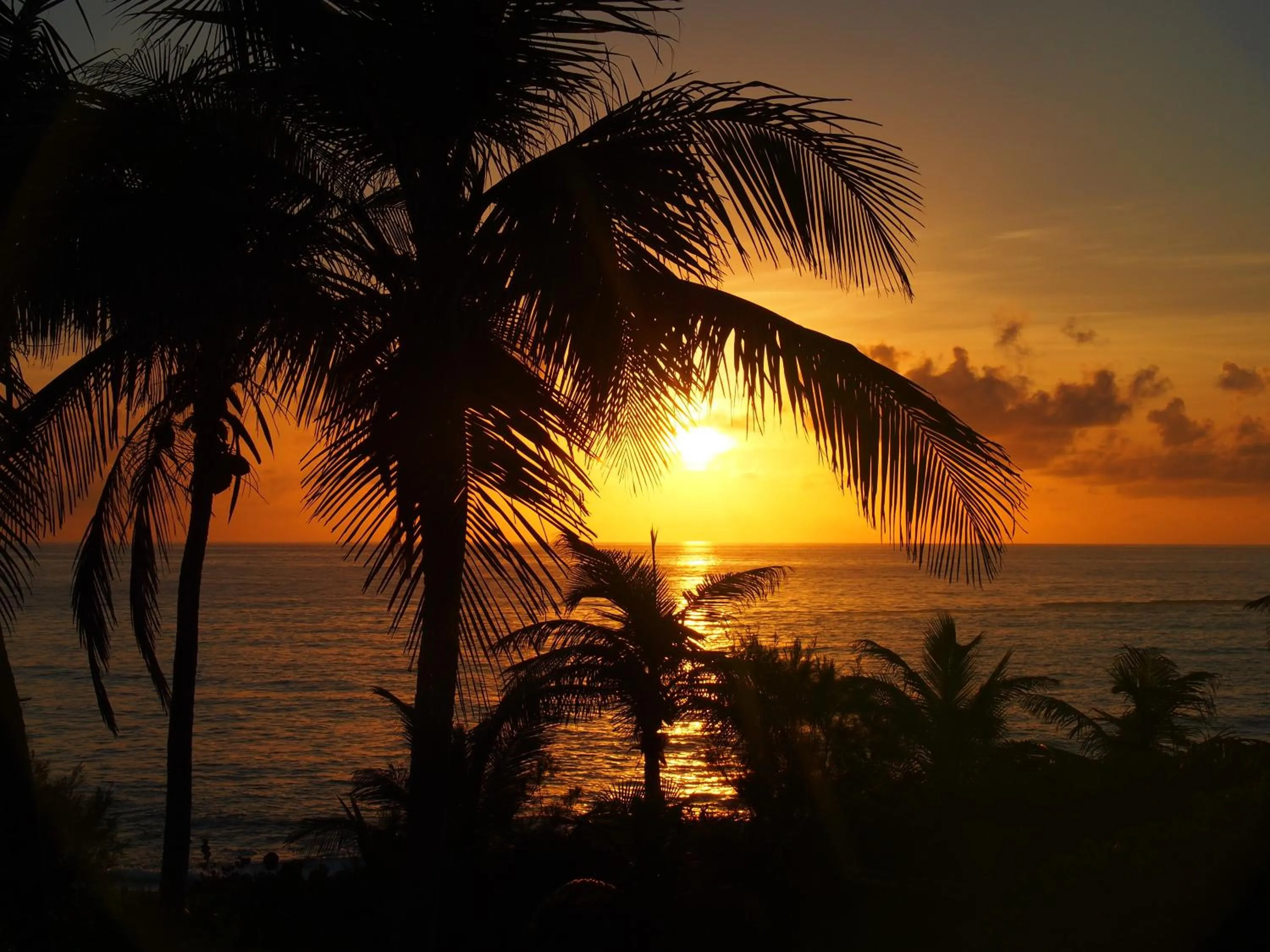 Stella Maris Resort Club