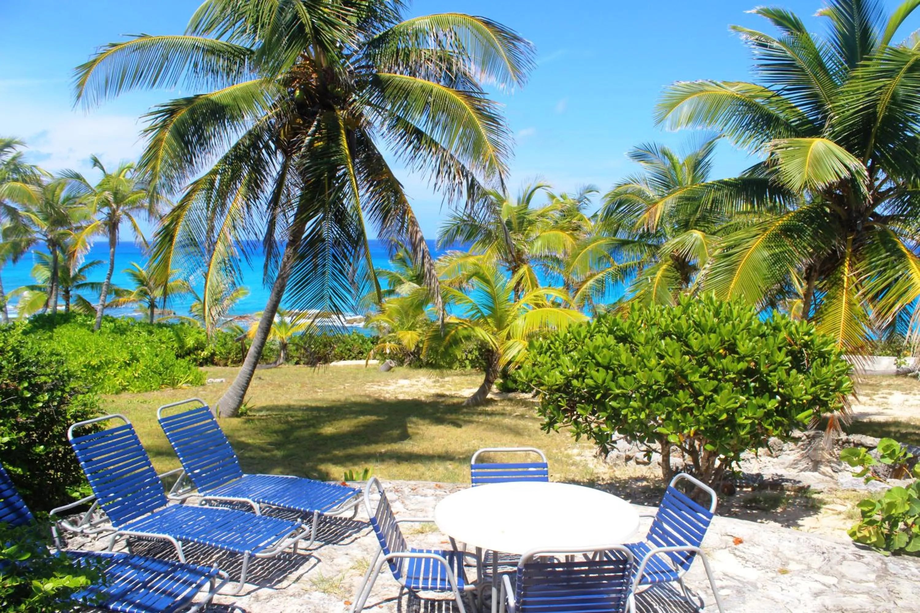 View (from property/room) in Stella Maris Resort Club
