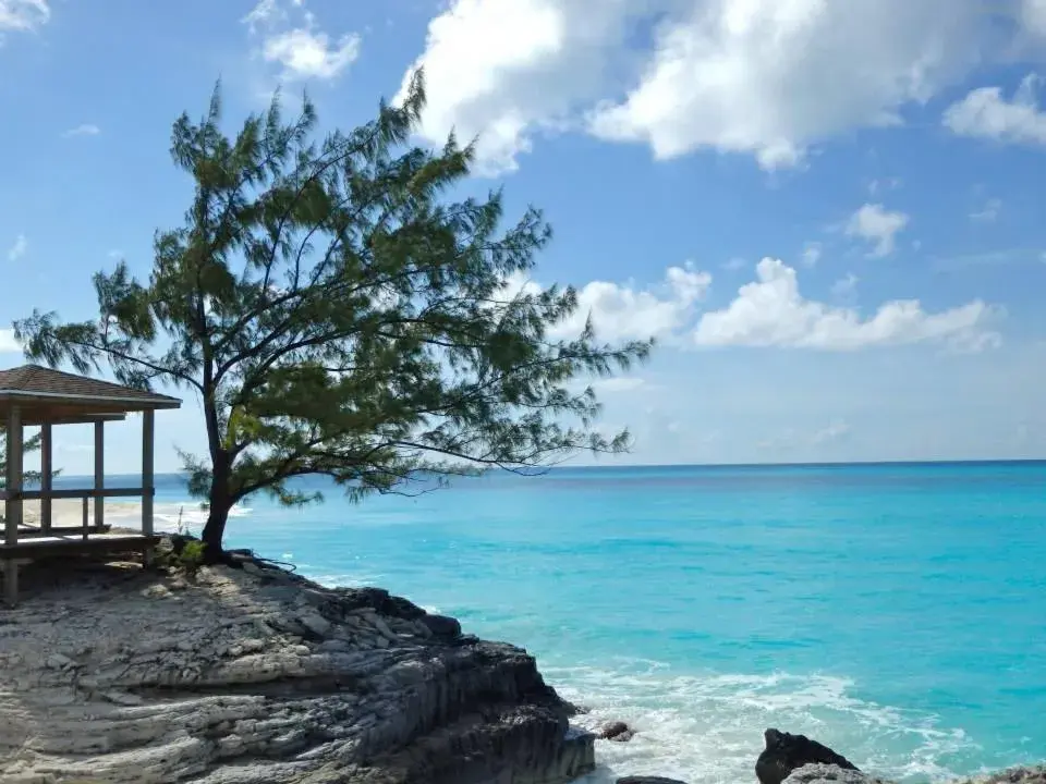 Property building in Stella Maris Resort Club Property building in Stella Maris Resort Club