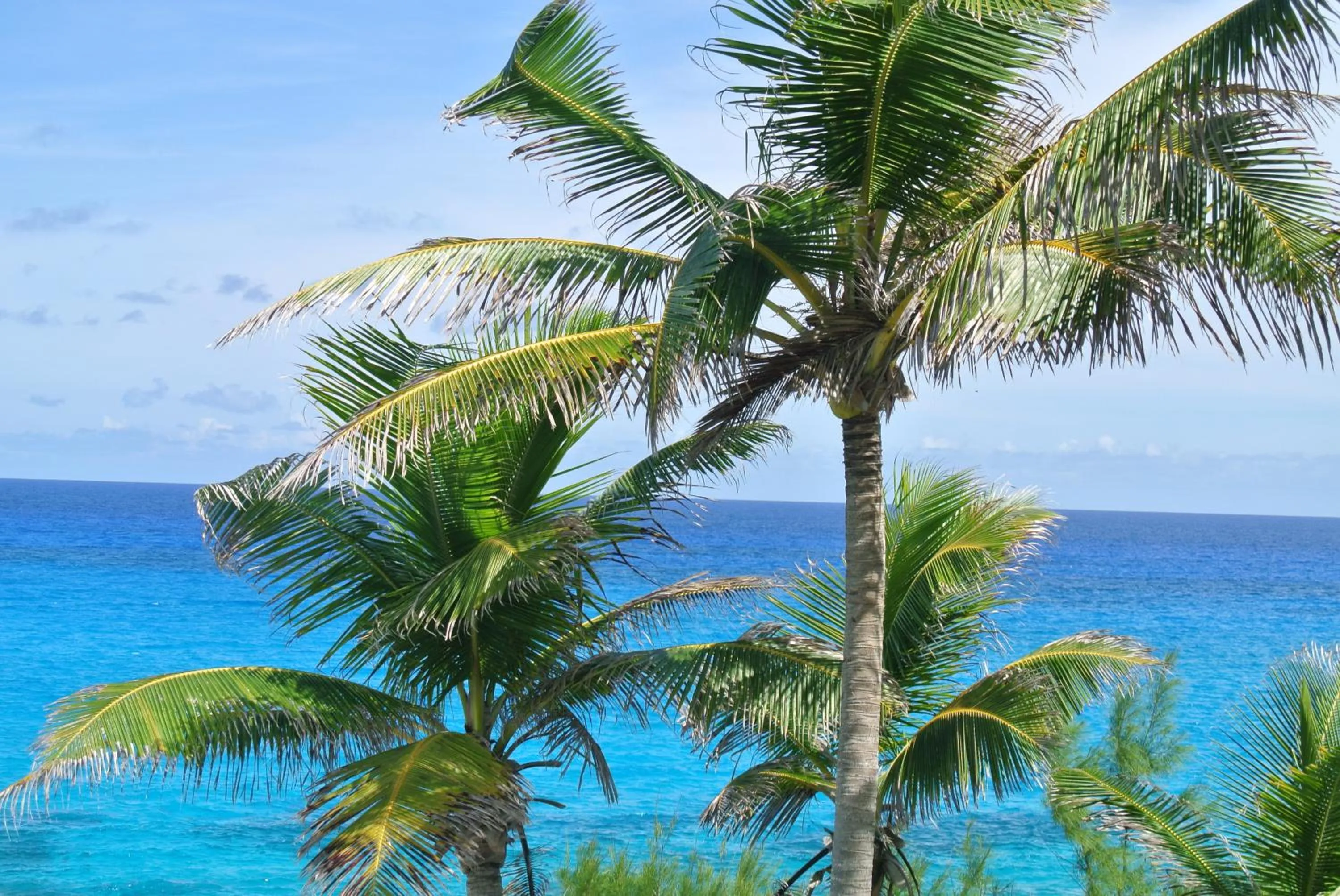 Stella Maris Resort Club