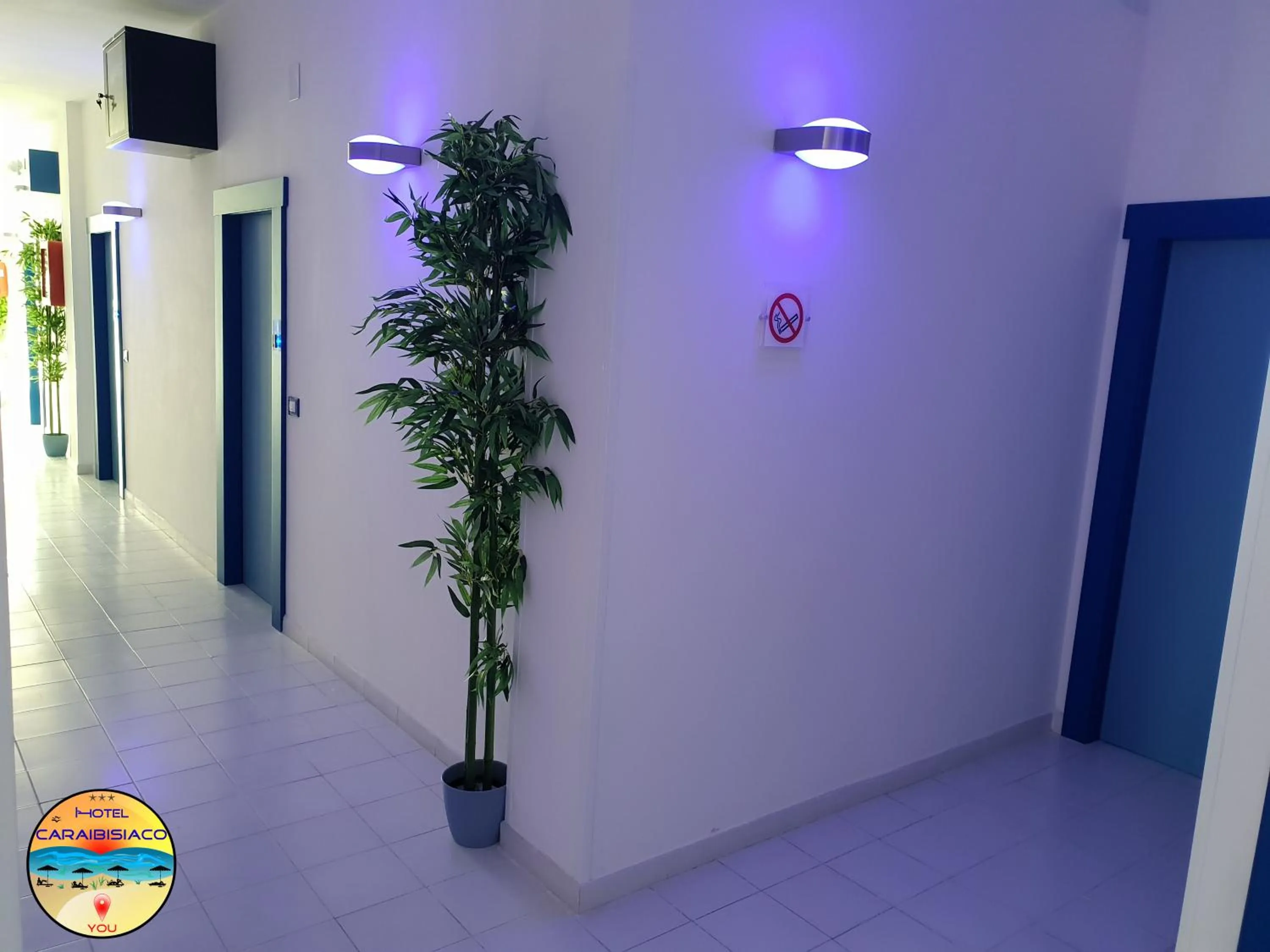 Area and facilities in Hotel Caraibisiaco sul mare