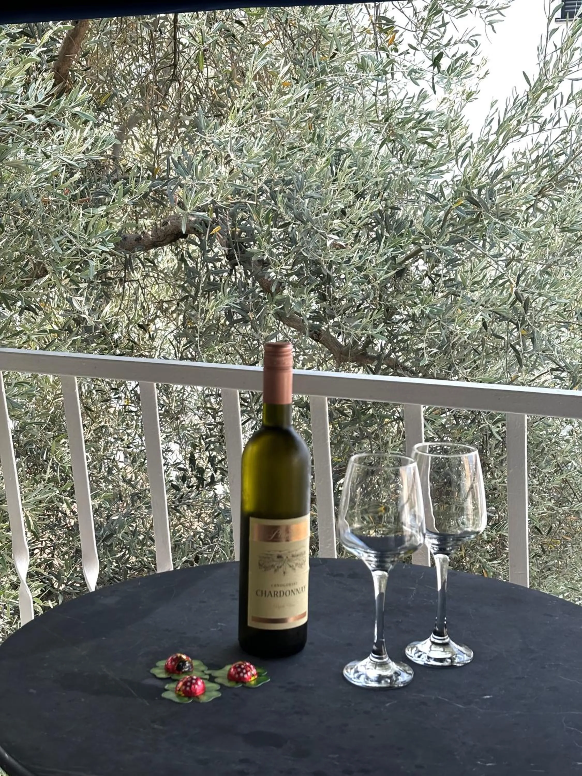 Villa Mona 2
