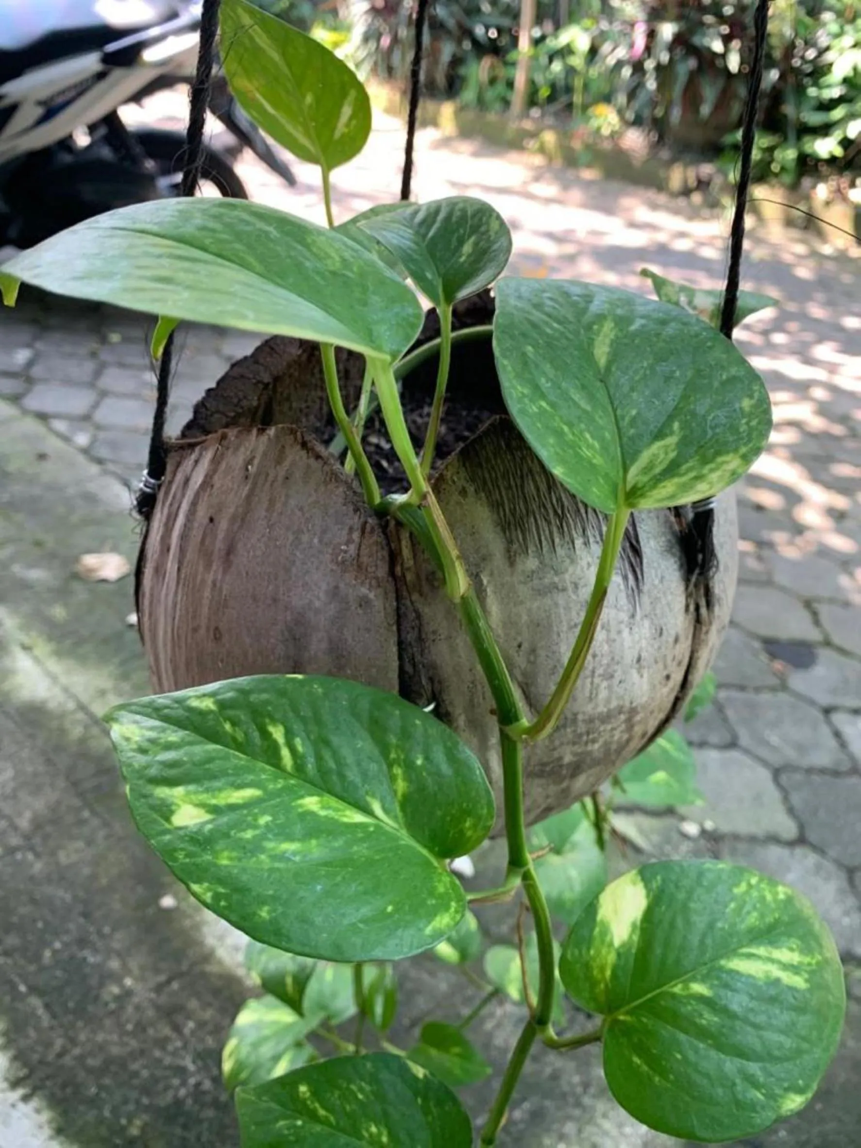 Day in Coliving Bali SWEET HOME Kost Lengkap di Tabanan Kota