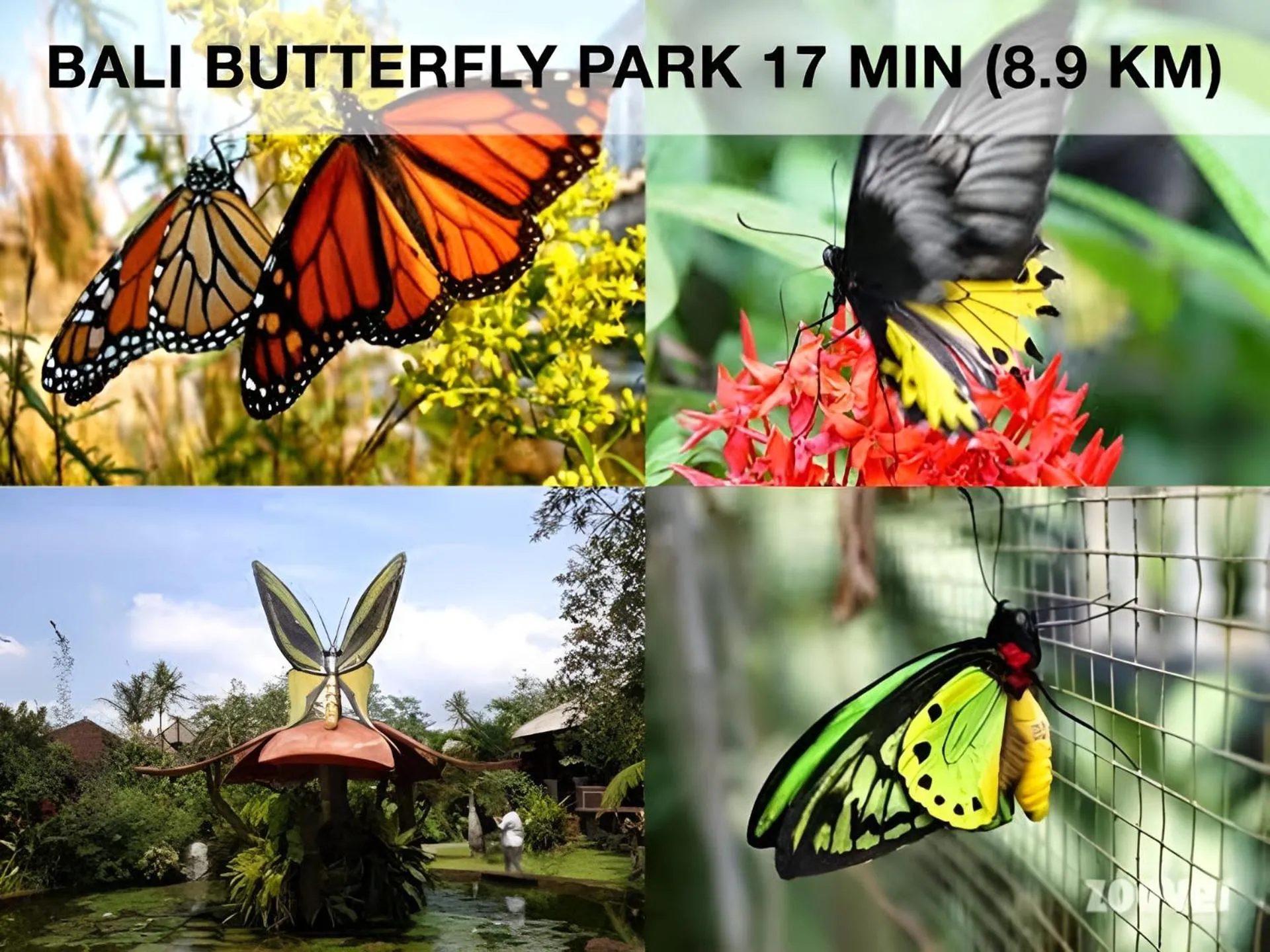 Nearby landmark in Coliving Bali SWEET HOME Kost Lengkap di Tabanan Kota