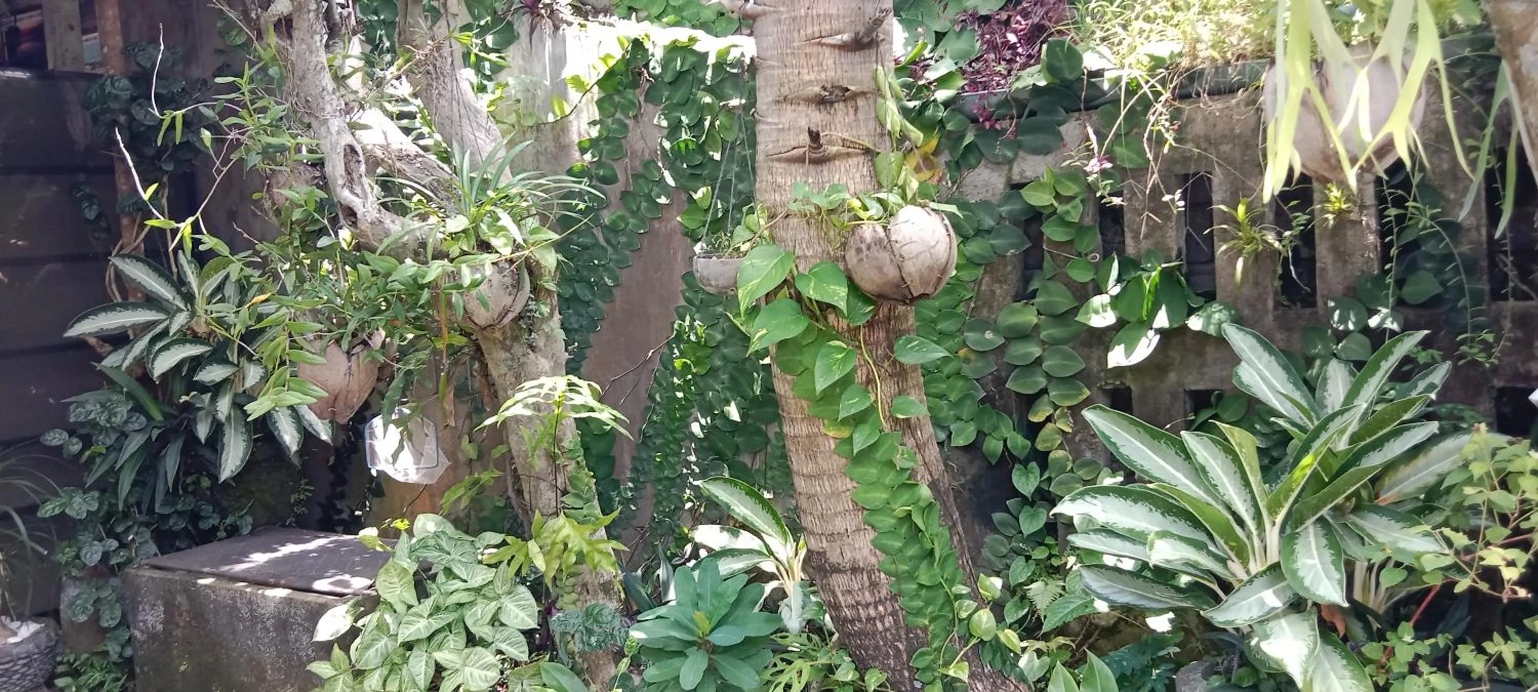 Day in Coliving Bali SWEET HOME Kost Lengkap di Tabanan Kota