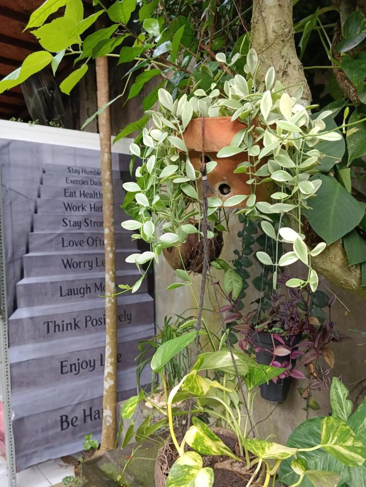 Day in Coliving Bali SWEET HOME Kost Lengkap di Tabanan Kota