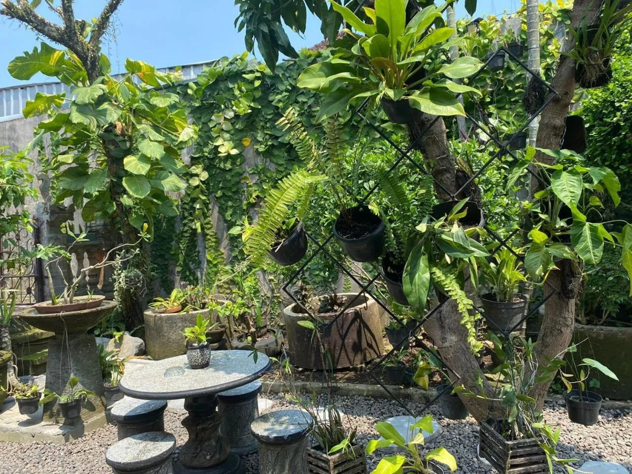 Garden in Coliving Bali SWEET HOME Kost Lengkap di Tabanan Kota
