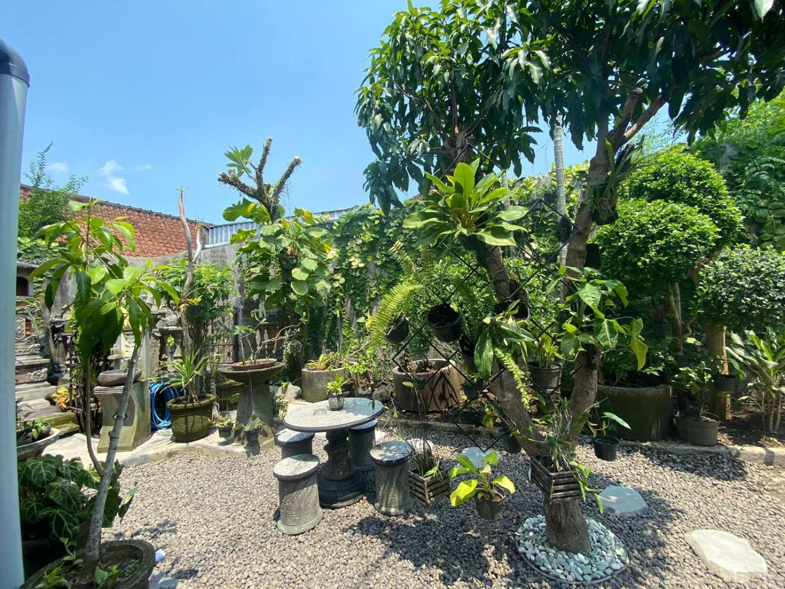 Garden in Coliving Bali SWEET HOME Kost Lengkap di Tabanan Kota
