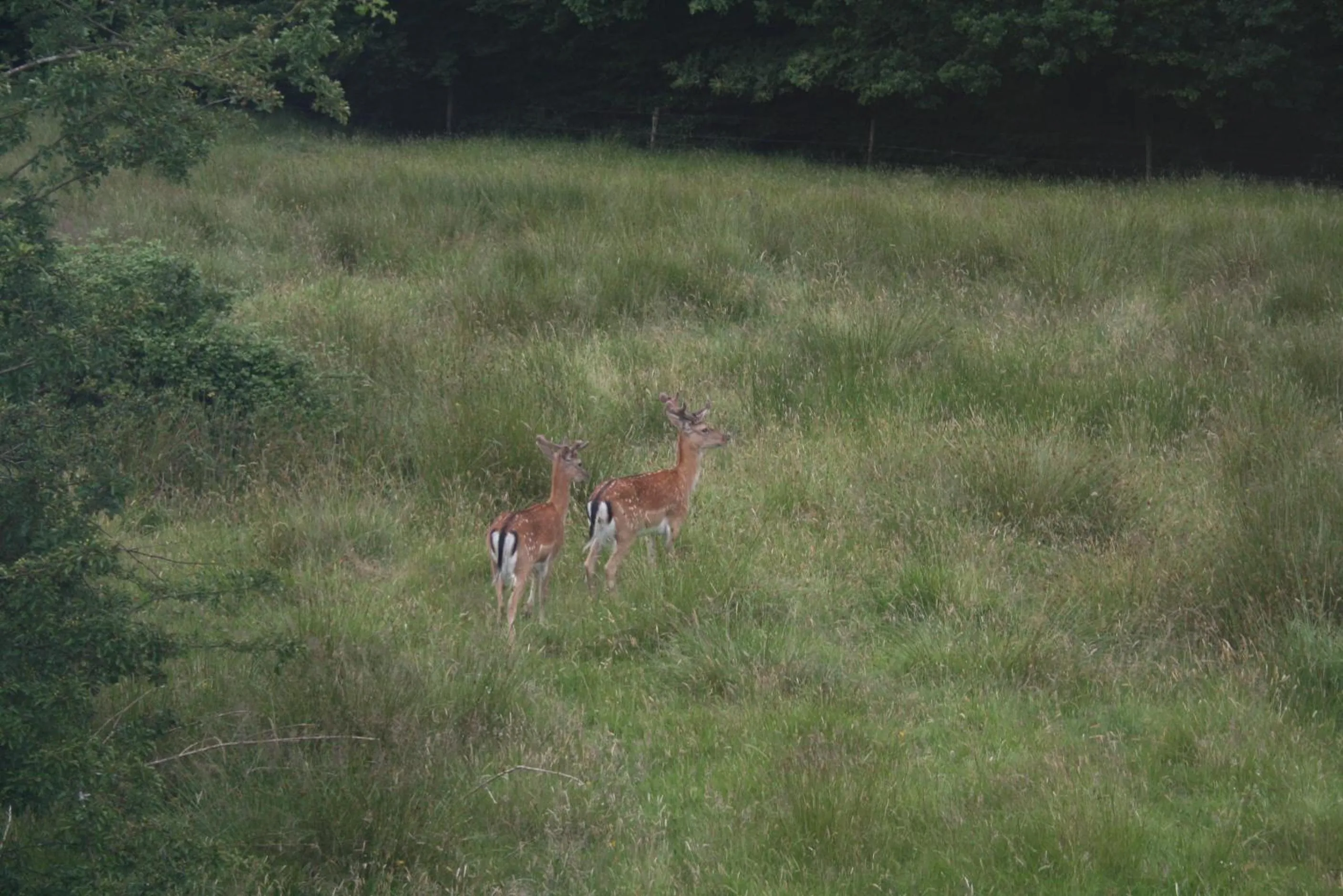 Natural landscape in Clayhill House Bed & Breakfast