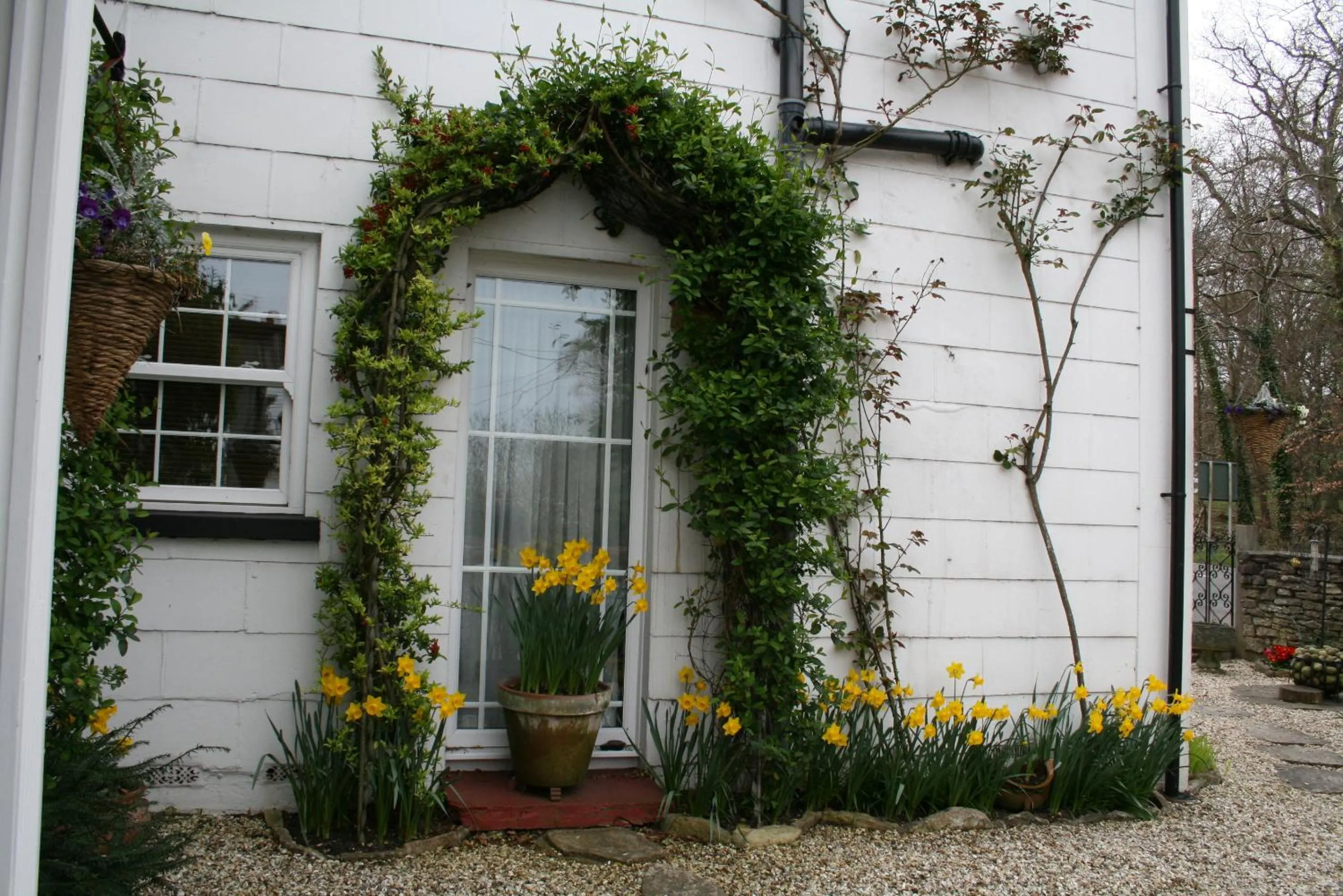 Spring in Clayhill House Bed & Breakfast