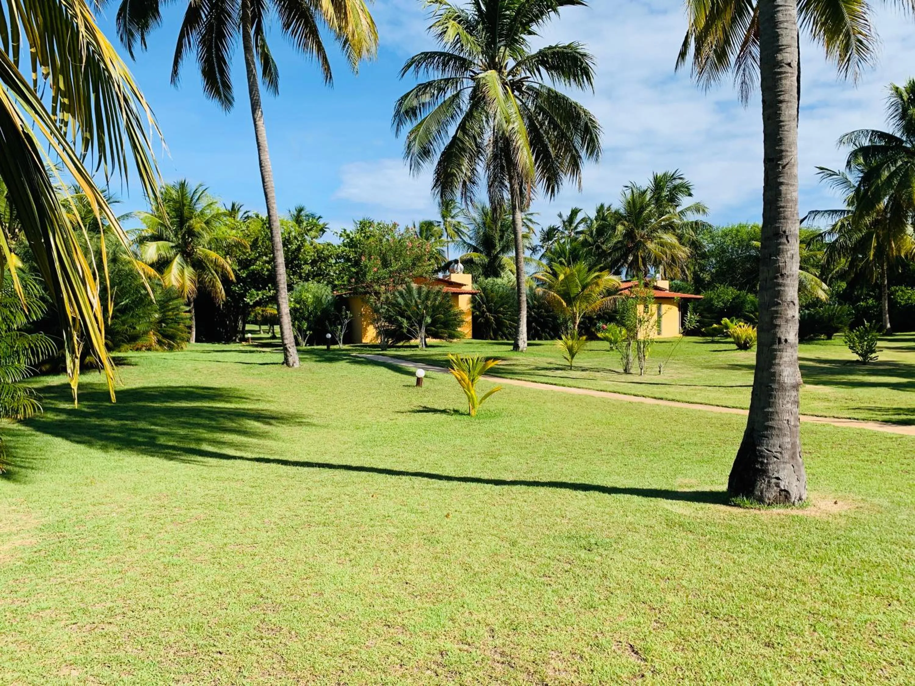 Natural landscape in Villa Côté Sud Pousada De Charme - Pé na Areia