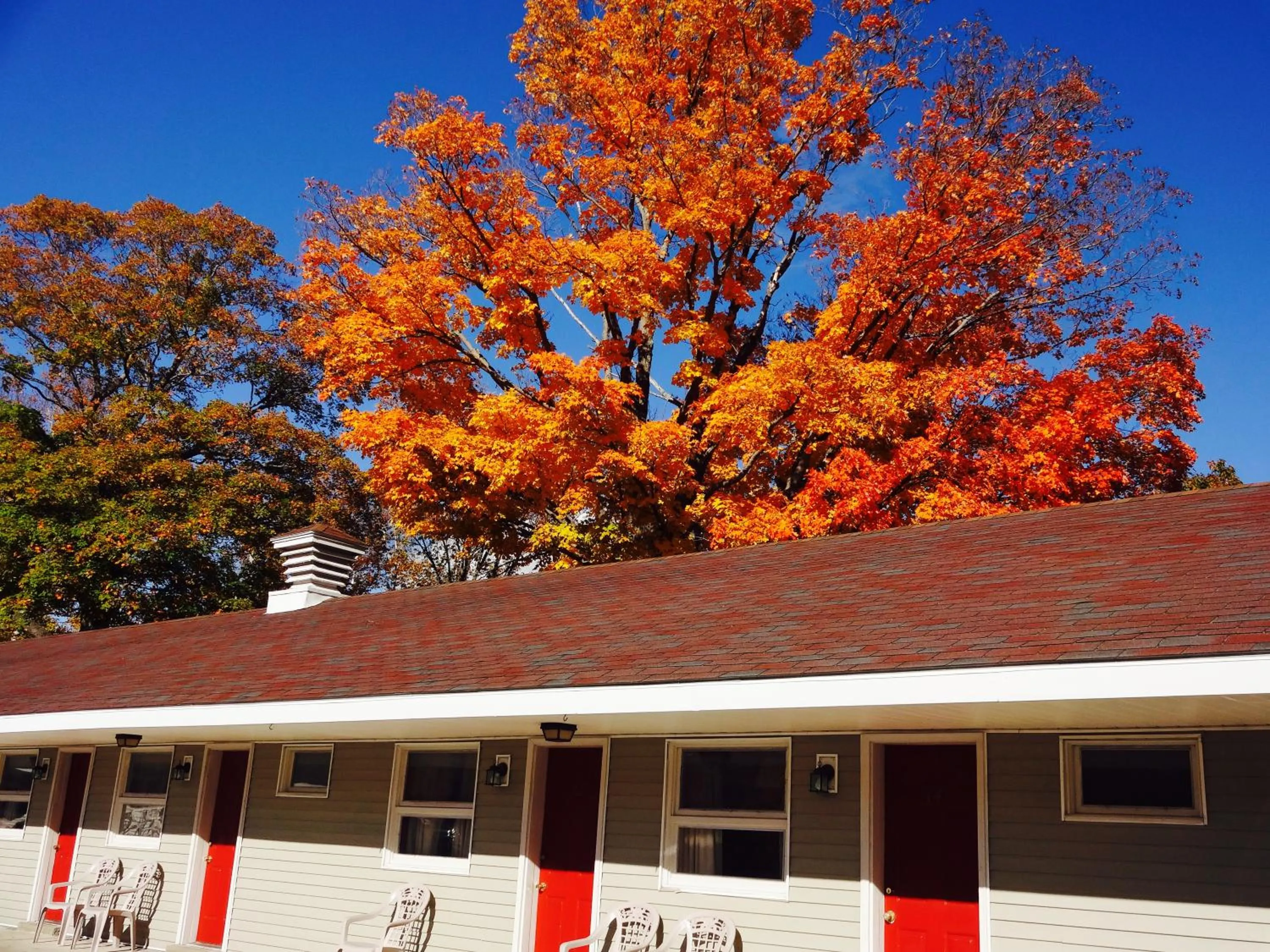 Area and facilities in Gorham Motor Inn