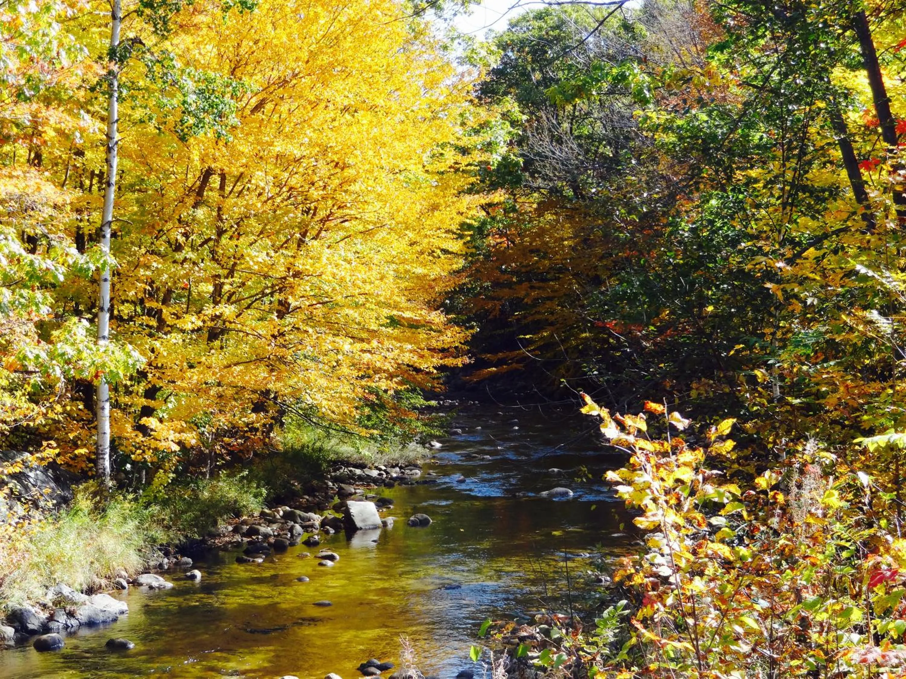 Nearby landmark in Gorham Motor Inn