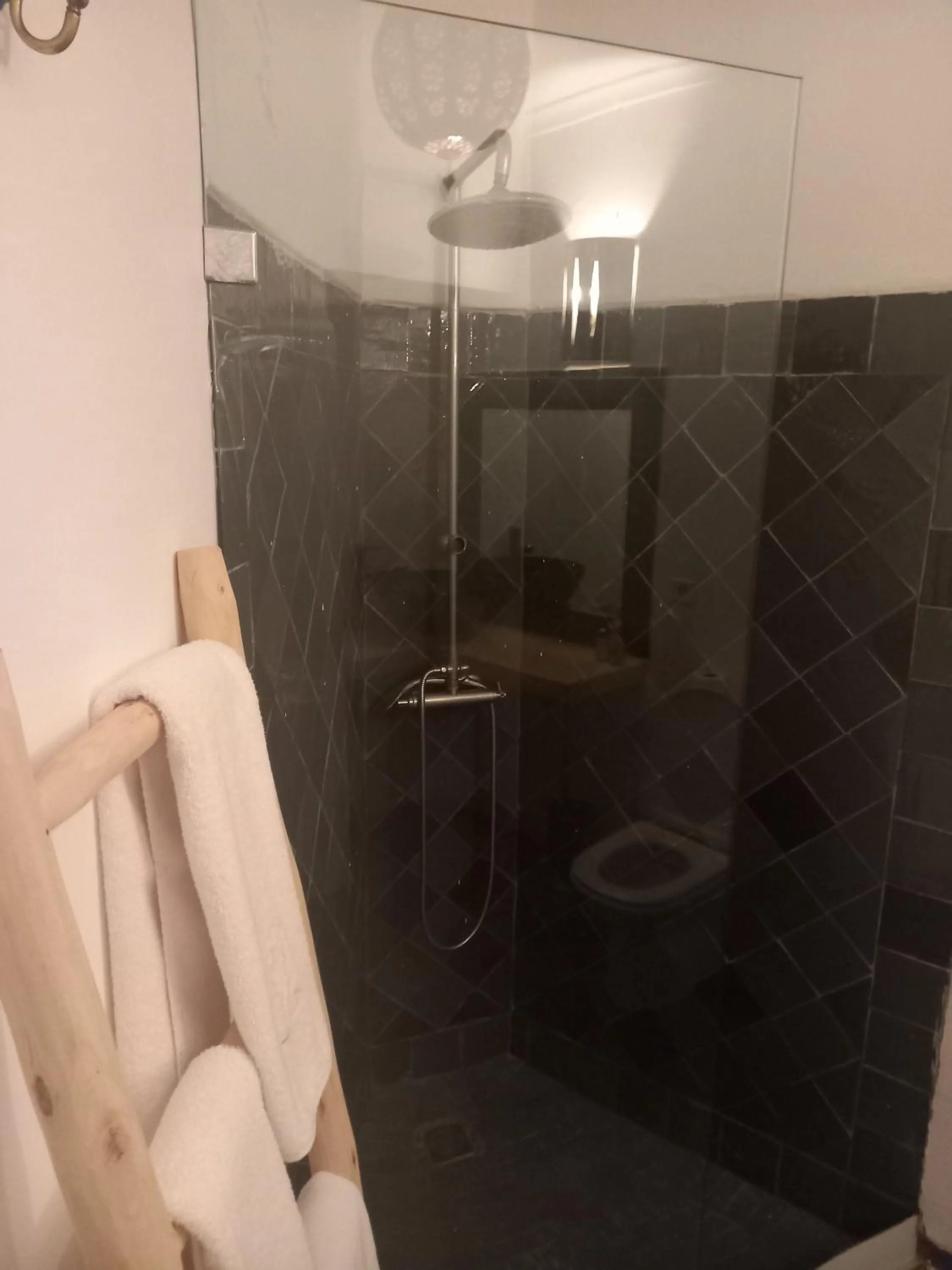 Shower in Riad Les Jardins des Lilas