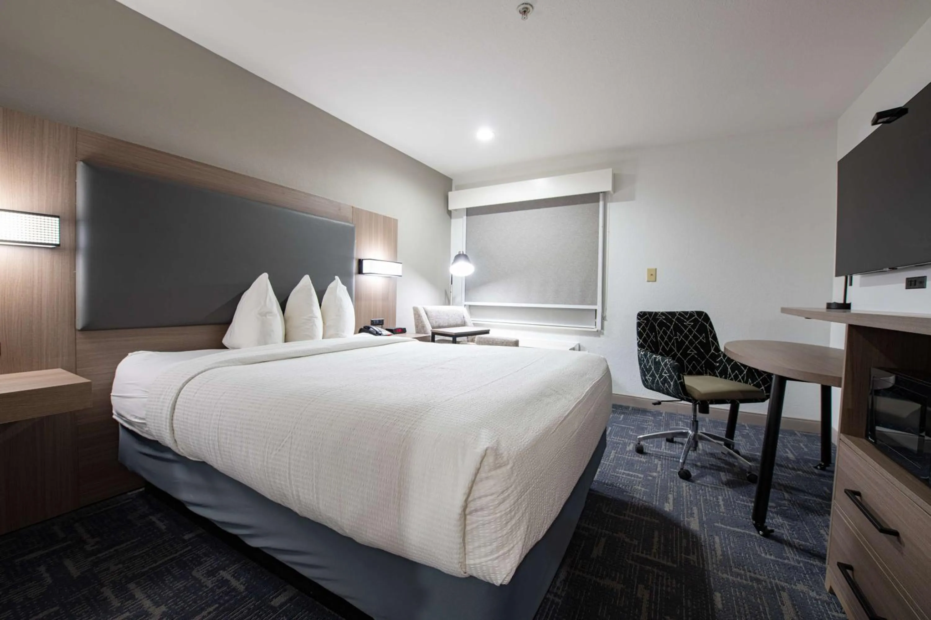 Photo of the whole room, Bed in Best Western Lafayette Inn