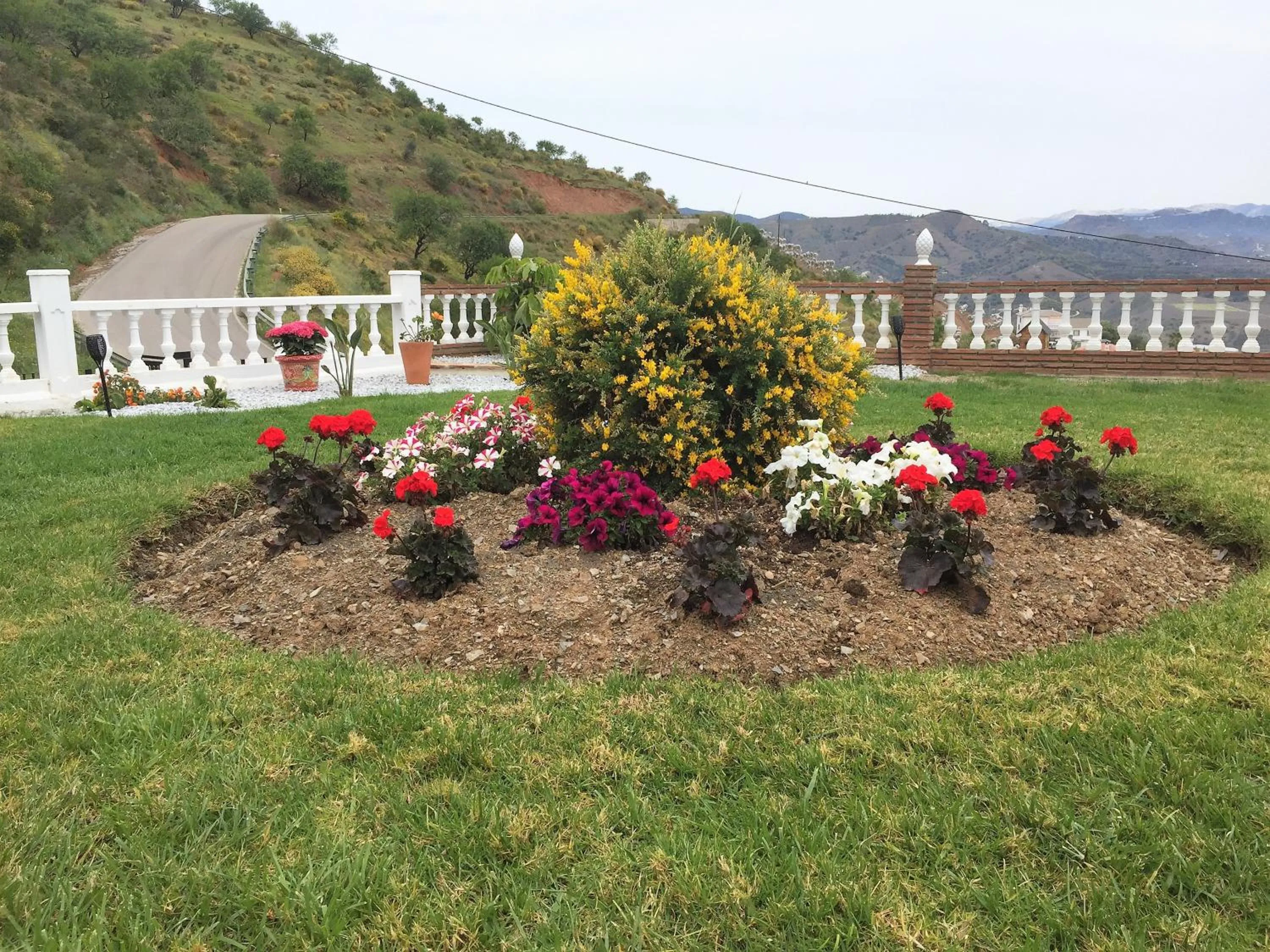 Garden in Casa las Torres B&B