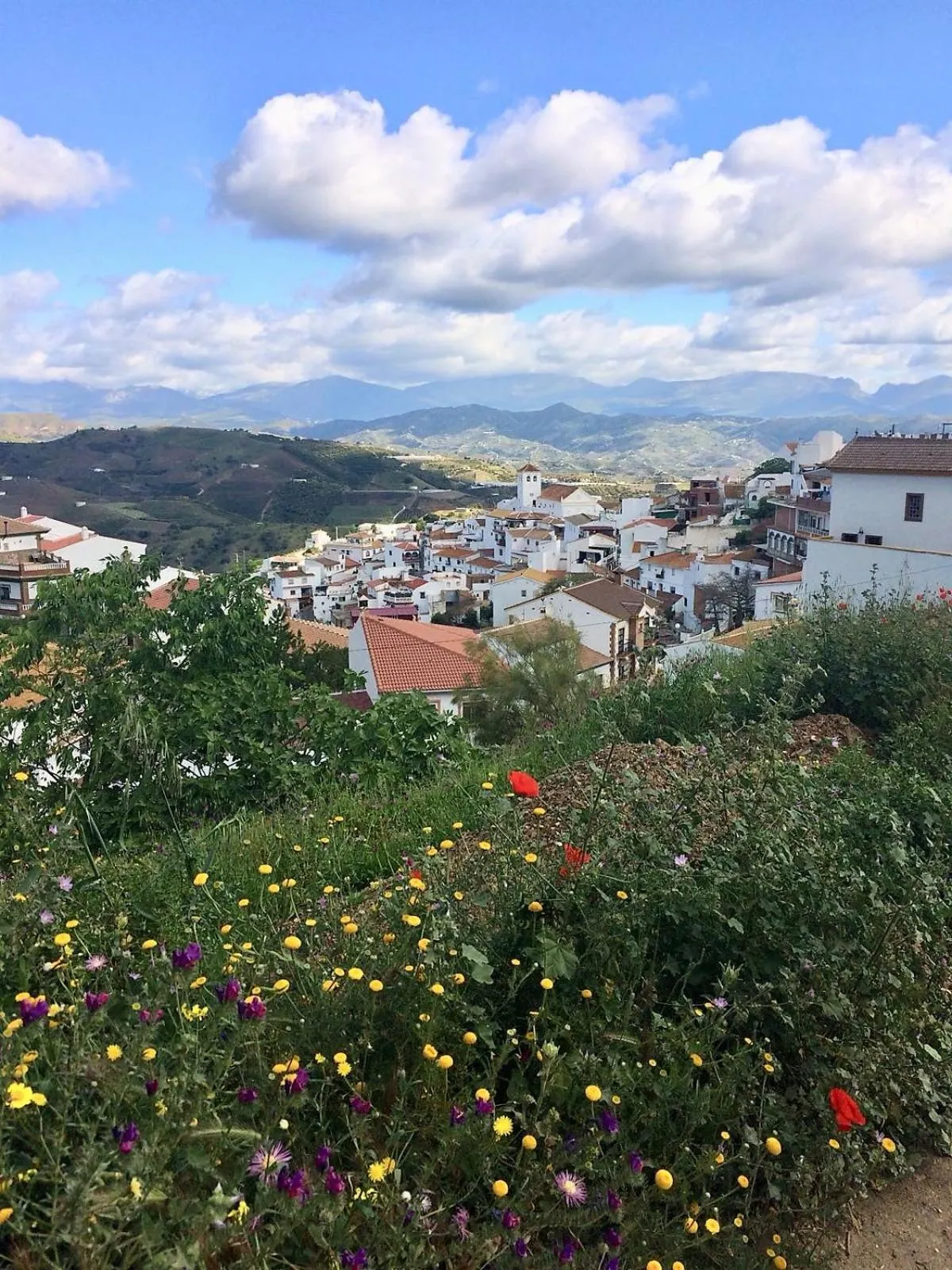 Neighbourhood in Casa las Torres B&B