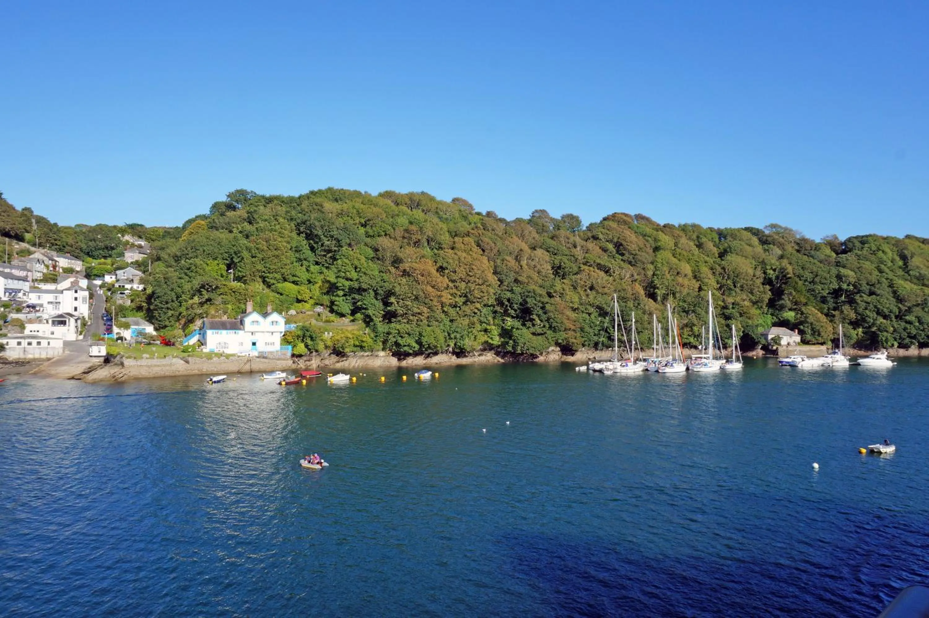 Natural landscape in Fowey River Views