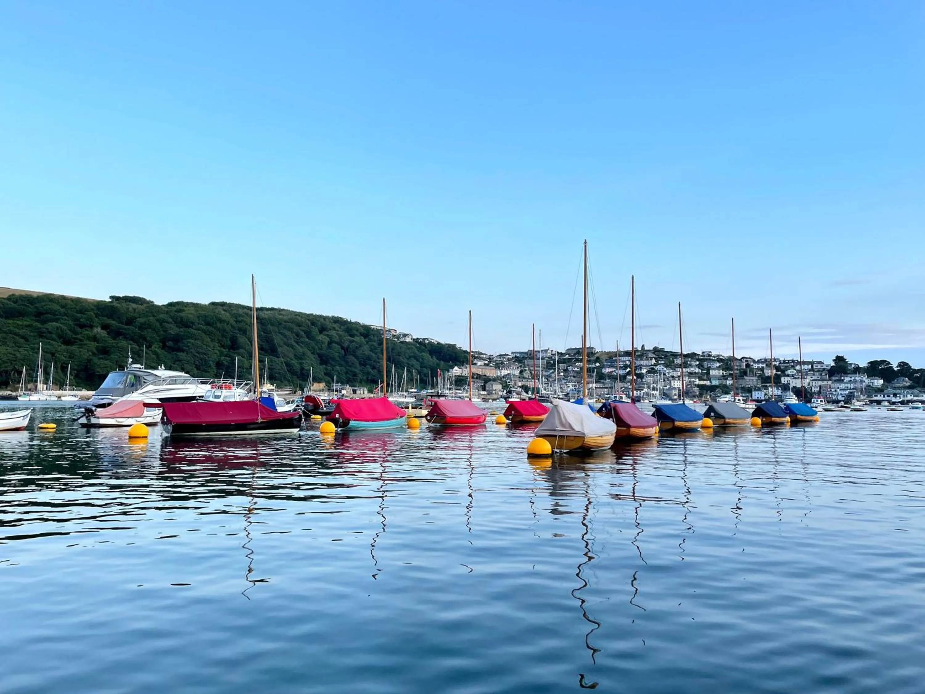 River view in Fowey River Views