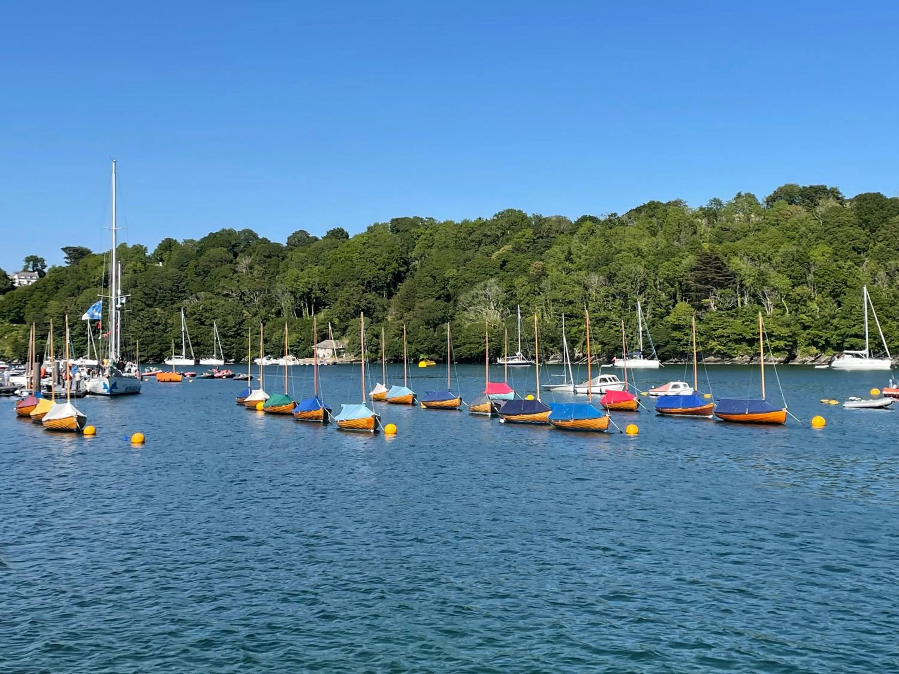 Area and facilities in Fowey River Views