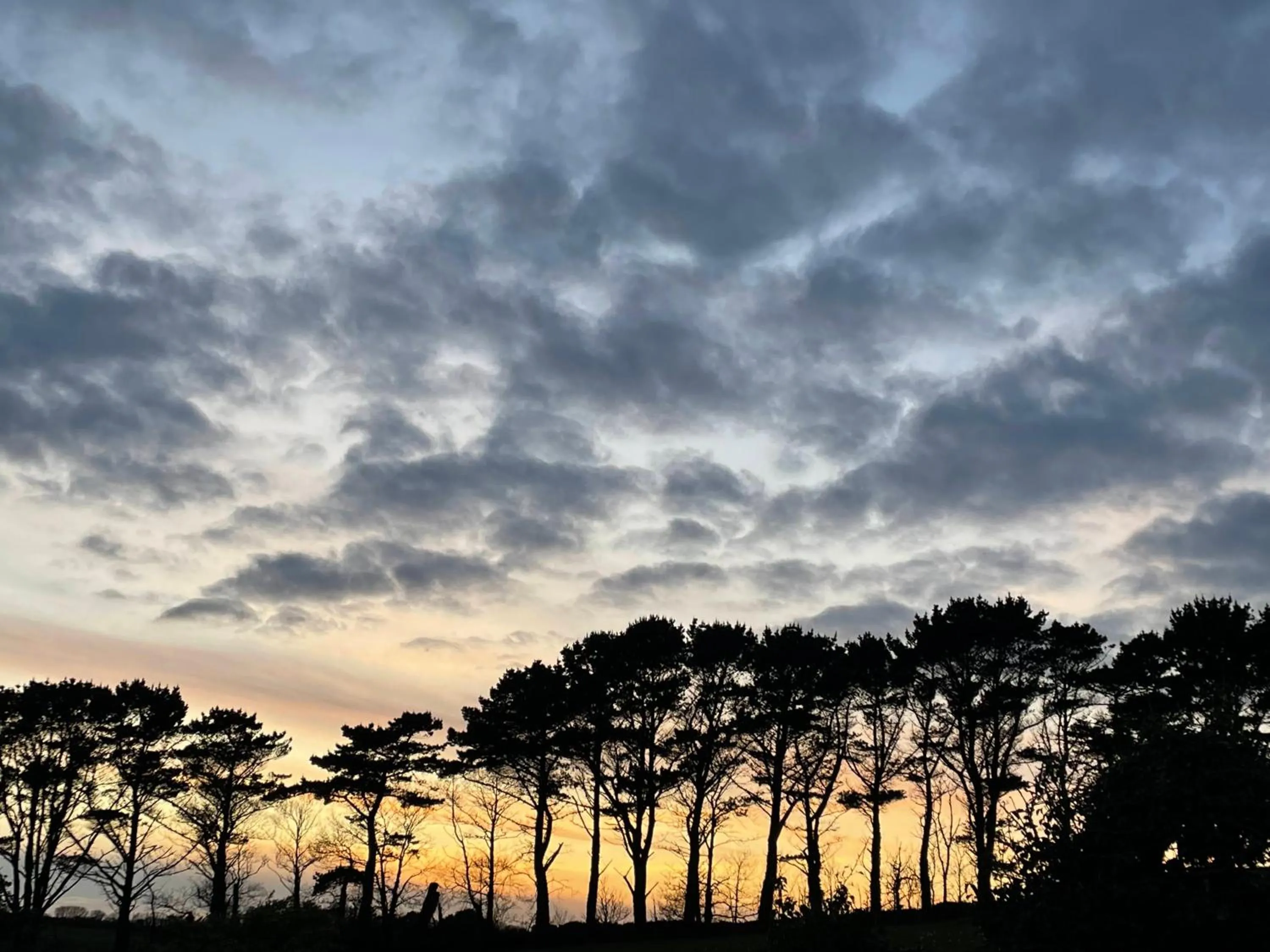 Area and facilities in Fowey River Views