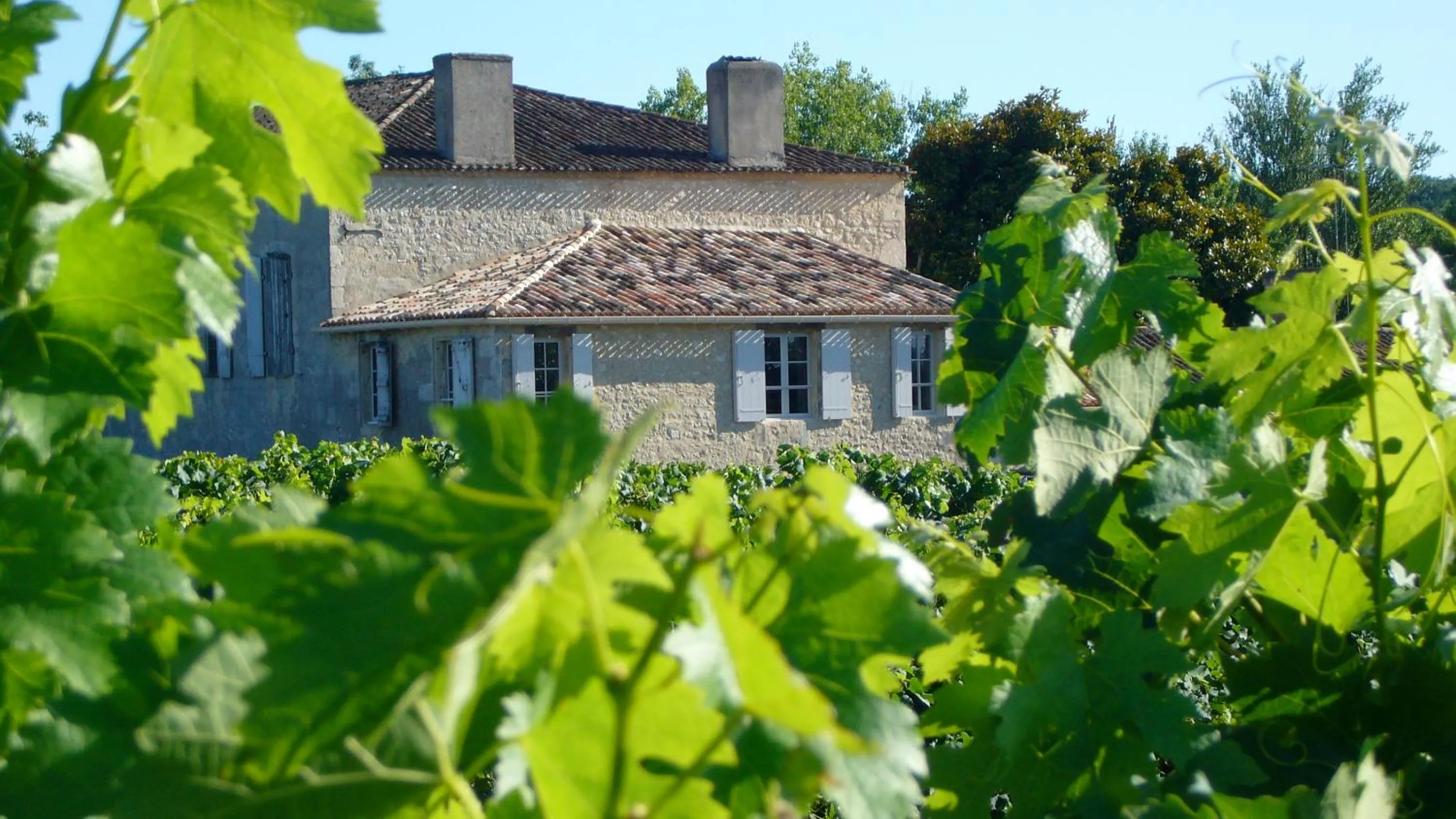 View (from property/room) in Maison Le Sèpe - Vignoble Bio et Maison d'hôtes