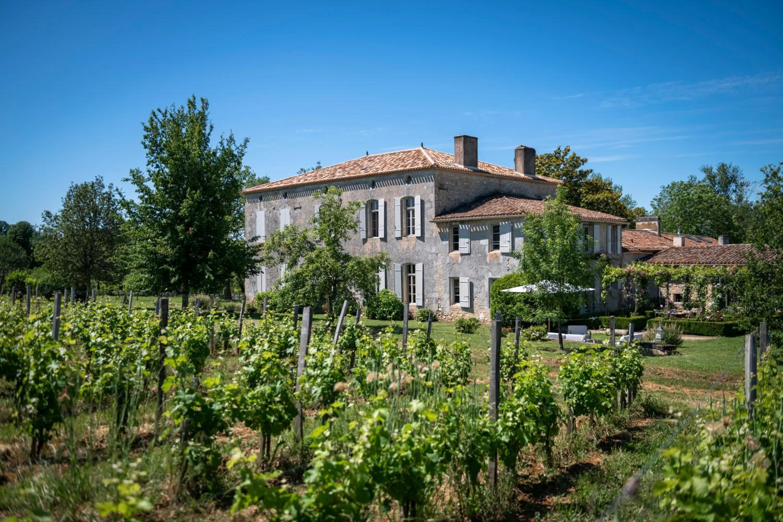 View (from property/room) in Maison Le Sèpe - Vignoble Bio et Maison d'hôtes