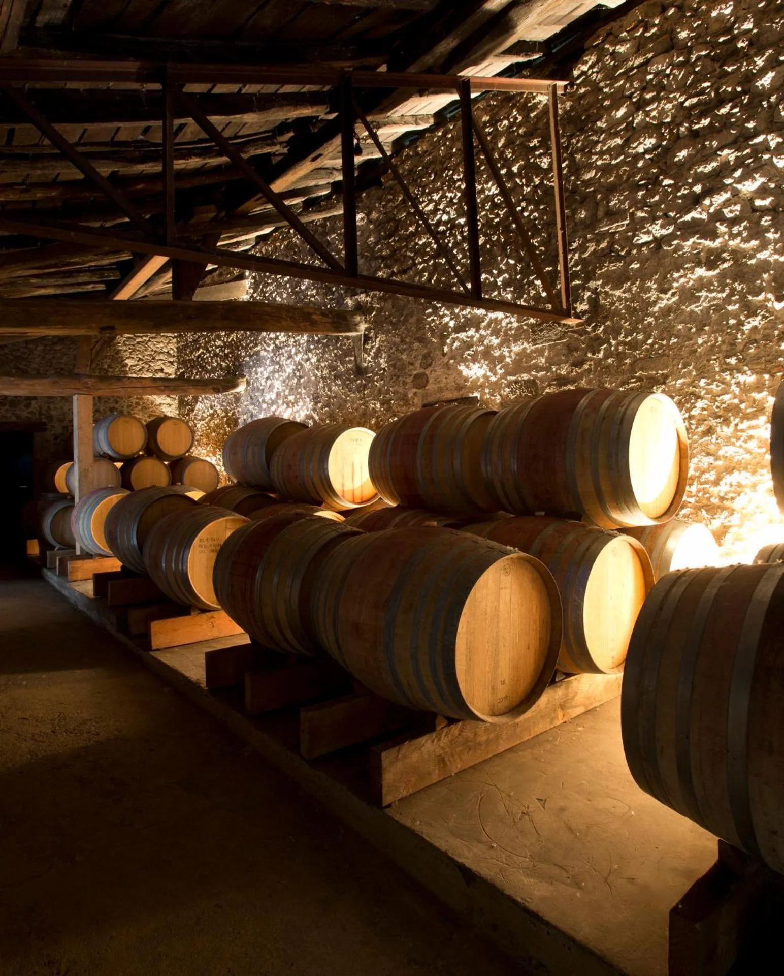 Area and facilities in Maison Le Sèpe - Vignoble Bio et Maison d'hôtes