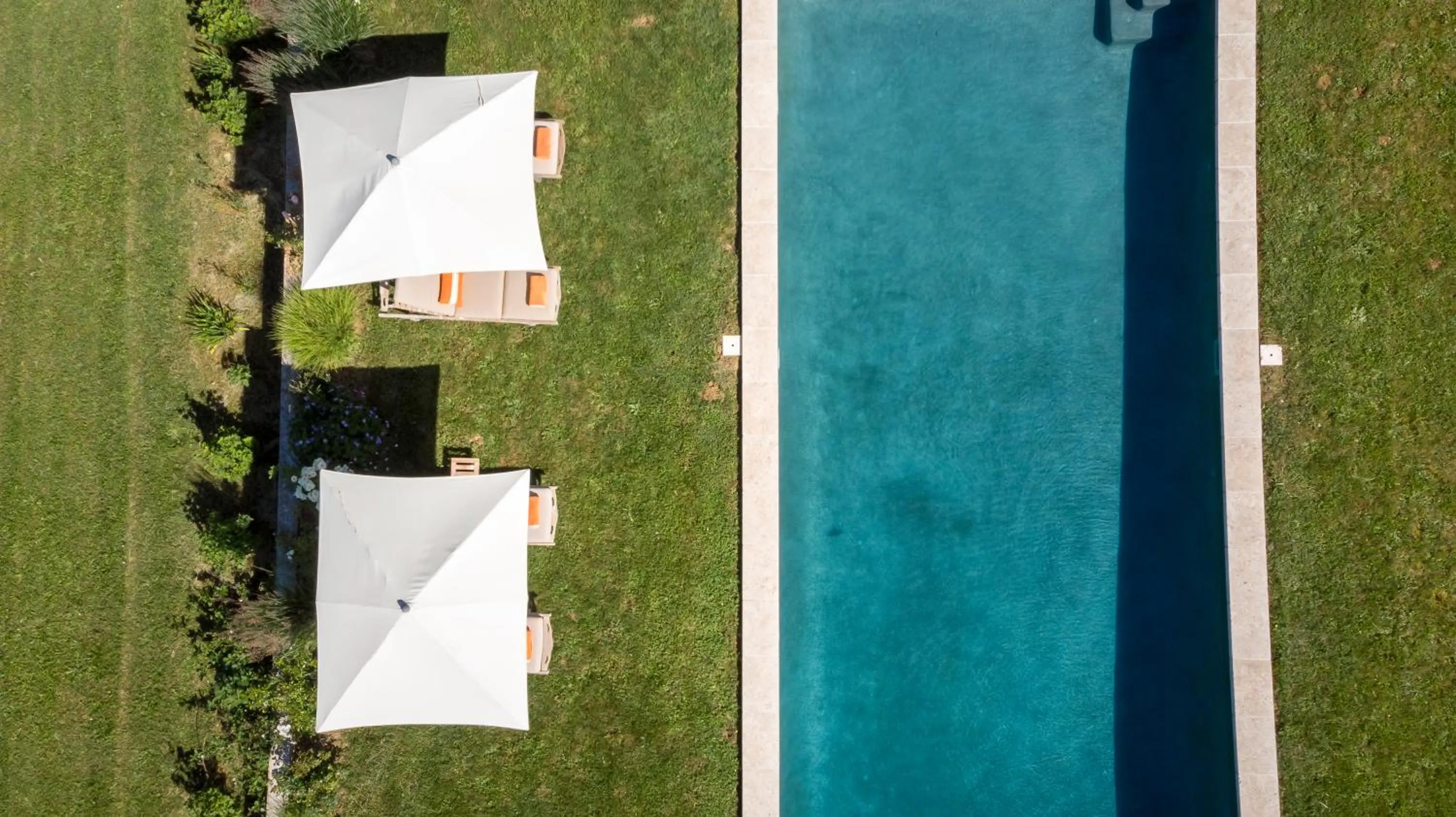 Swimming pool in Maison Le Sèpe - Vignoble Bio et Maison d'hôtes