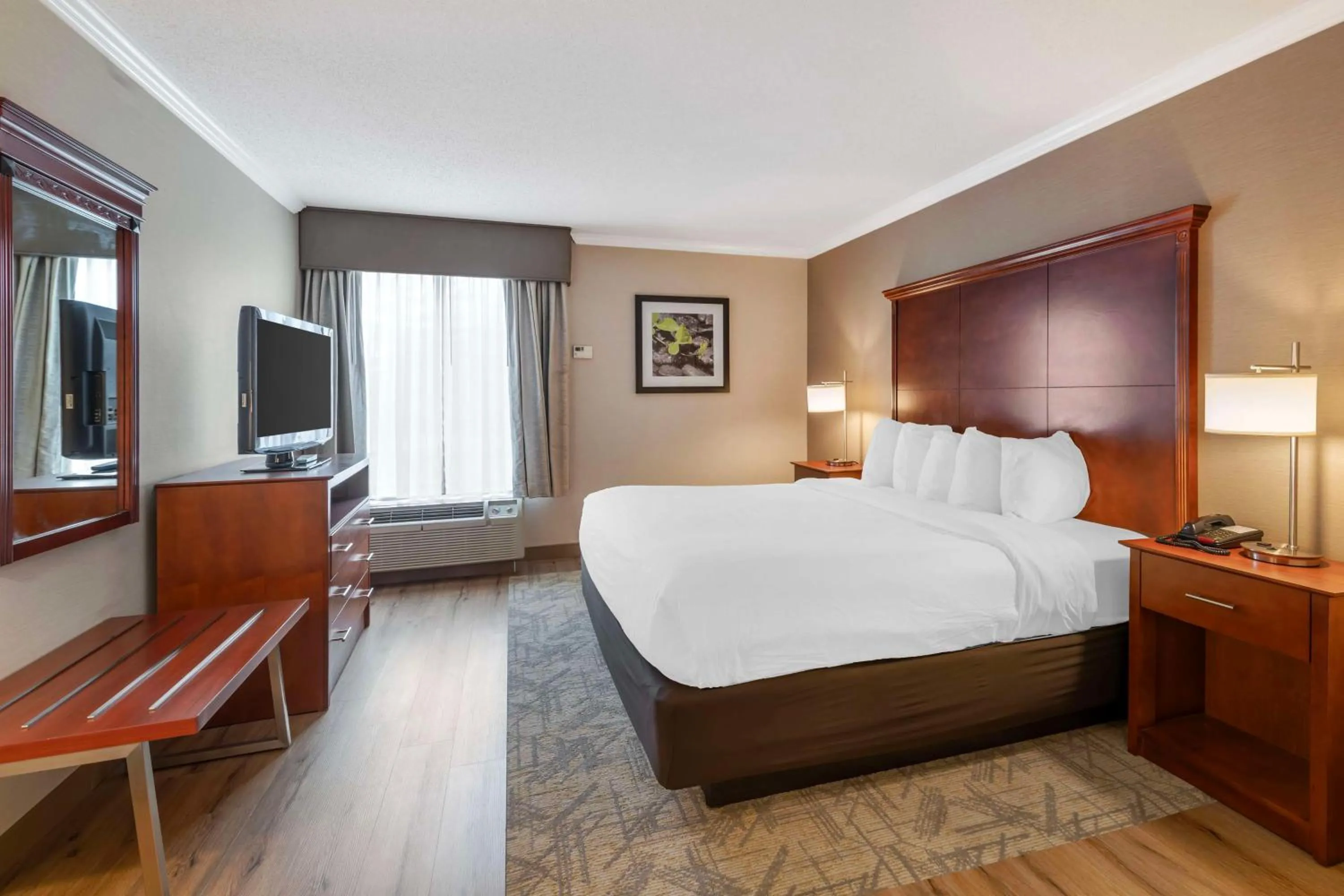 Bedroom, Bed in Best Western Liverpool-Syracuse Inn & Suites