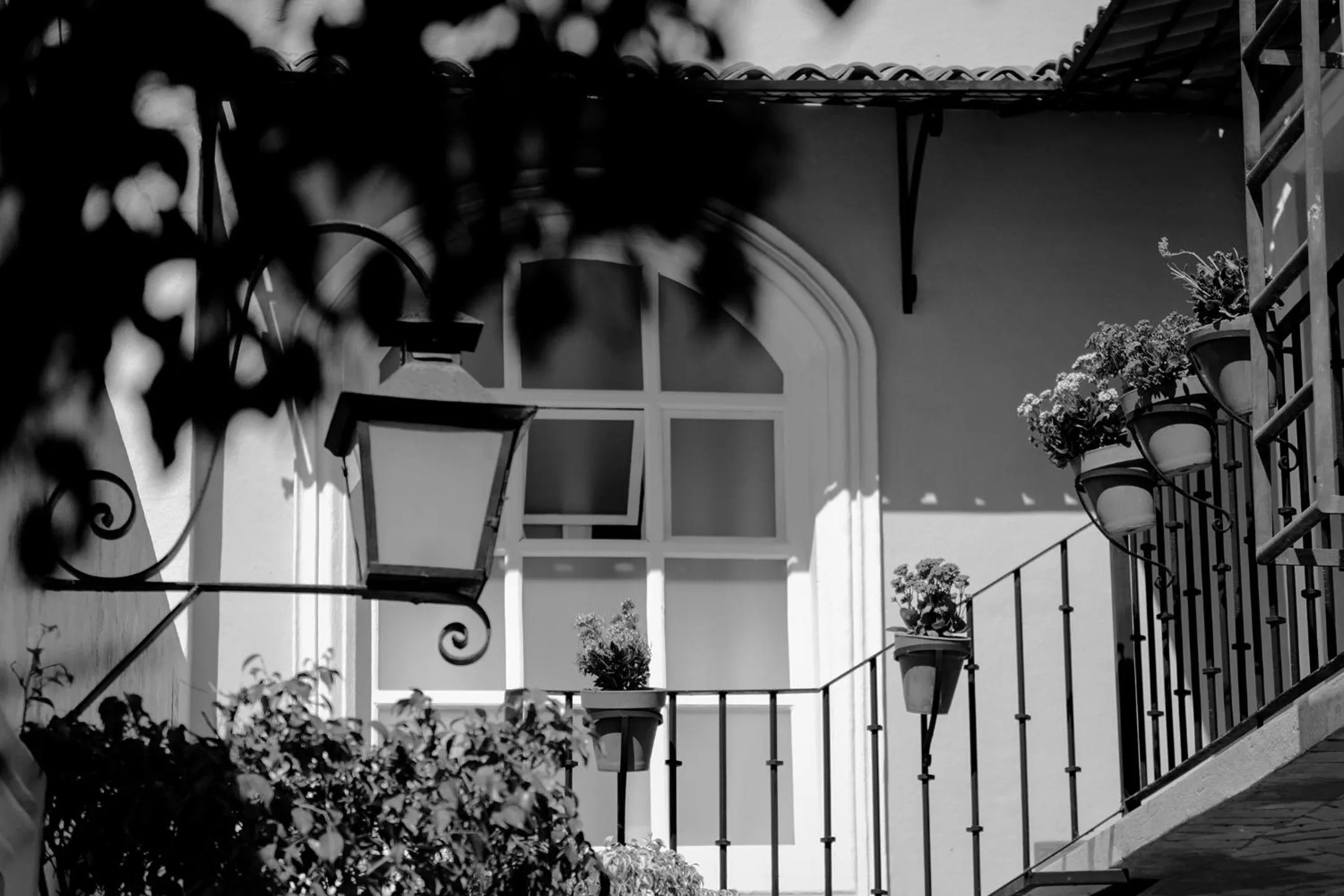 Balcony/Terrace in Hotel La Morada