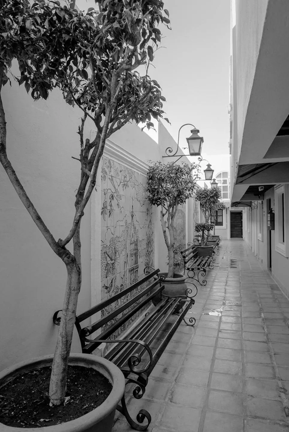 Patio in Hotel La Morada